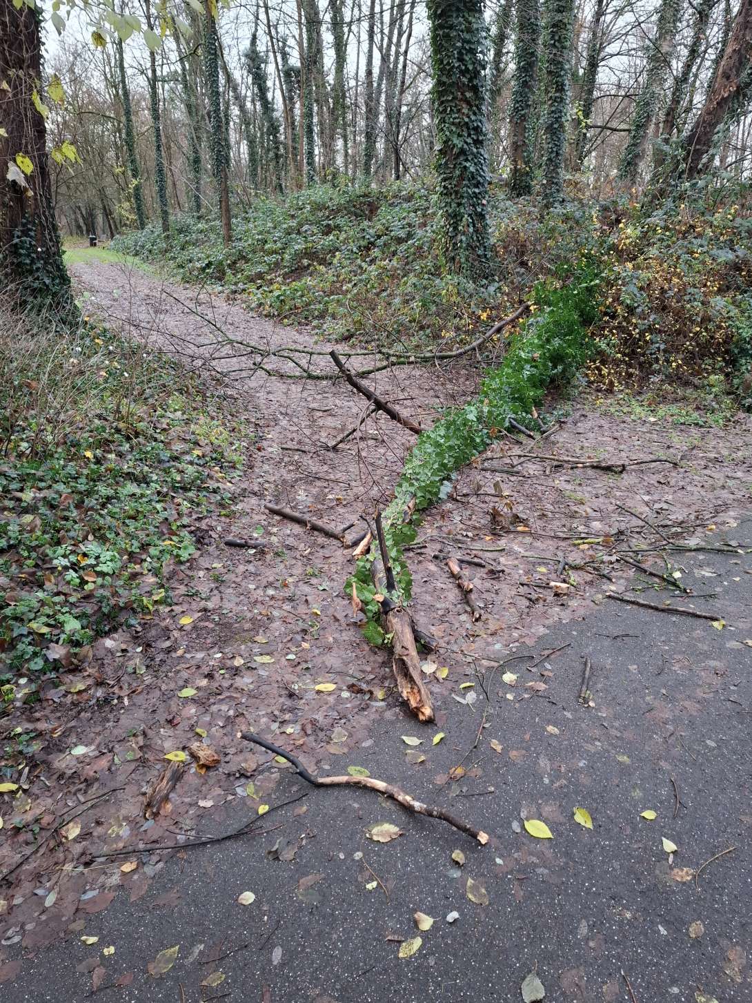 Bild zu gemeldetem Anliegen vom *2025-12-09 09:42:58