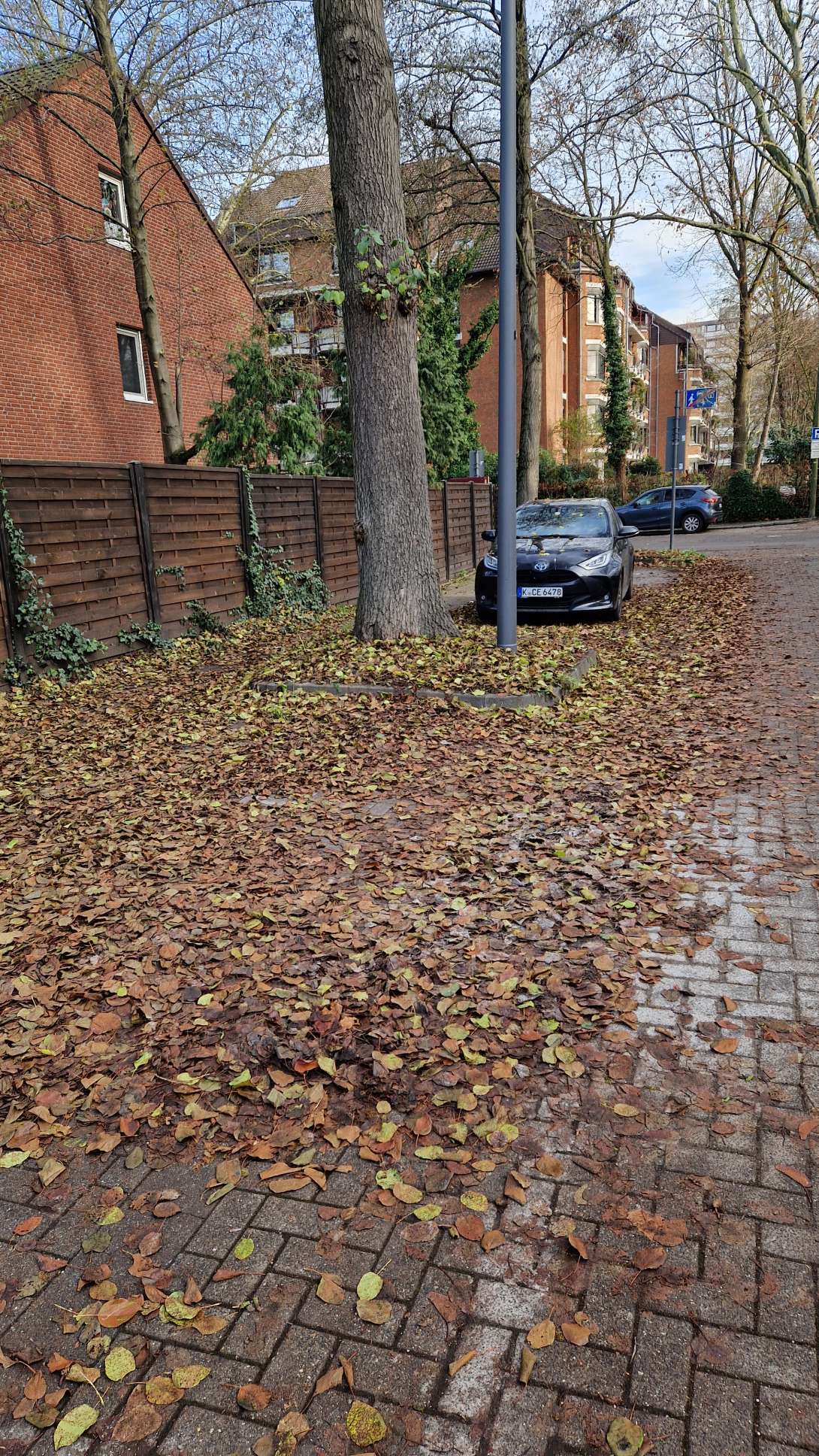 Bild zu gemeldetem Anliegen vom *2025-12-16 12:48:36