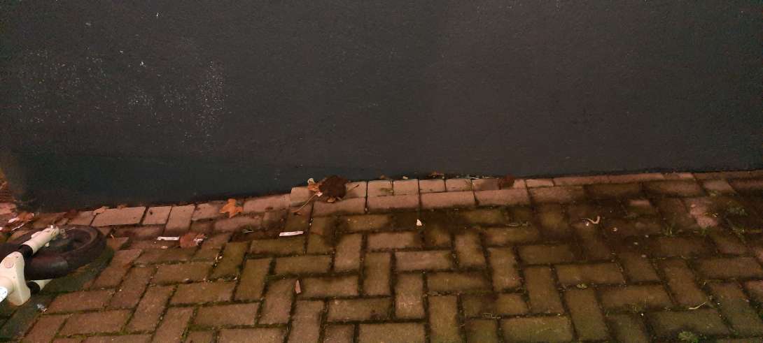 Bild zu gemeldetem Anliegen vom *2025-12-17 17:04:23