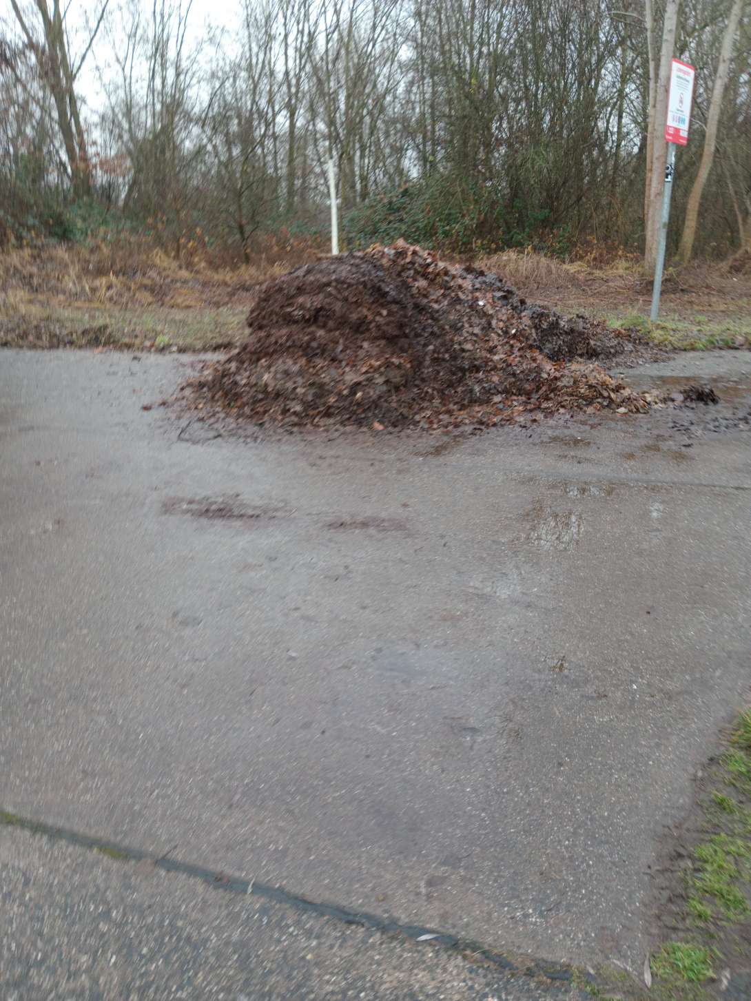 Bild zu gemeldetem Anliegen vom *2025-12-22 07:23:10