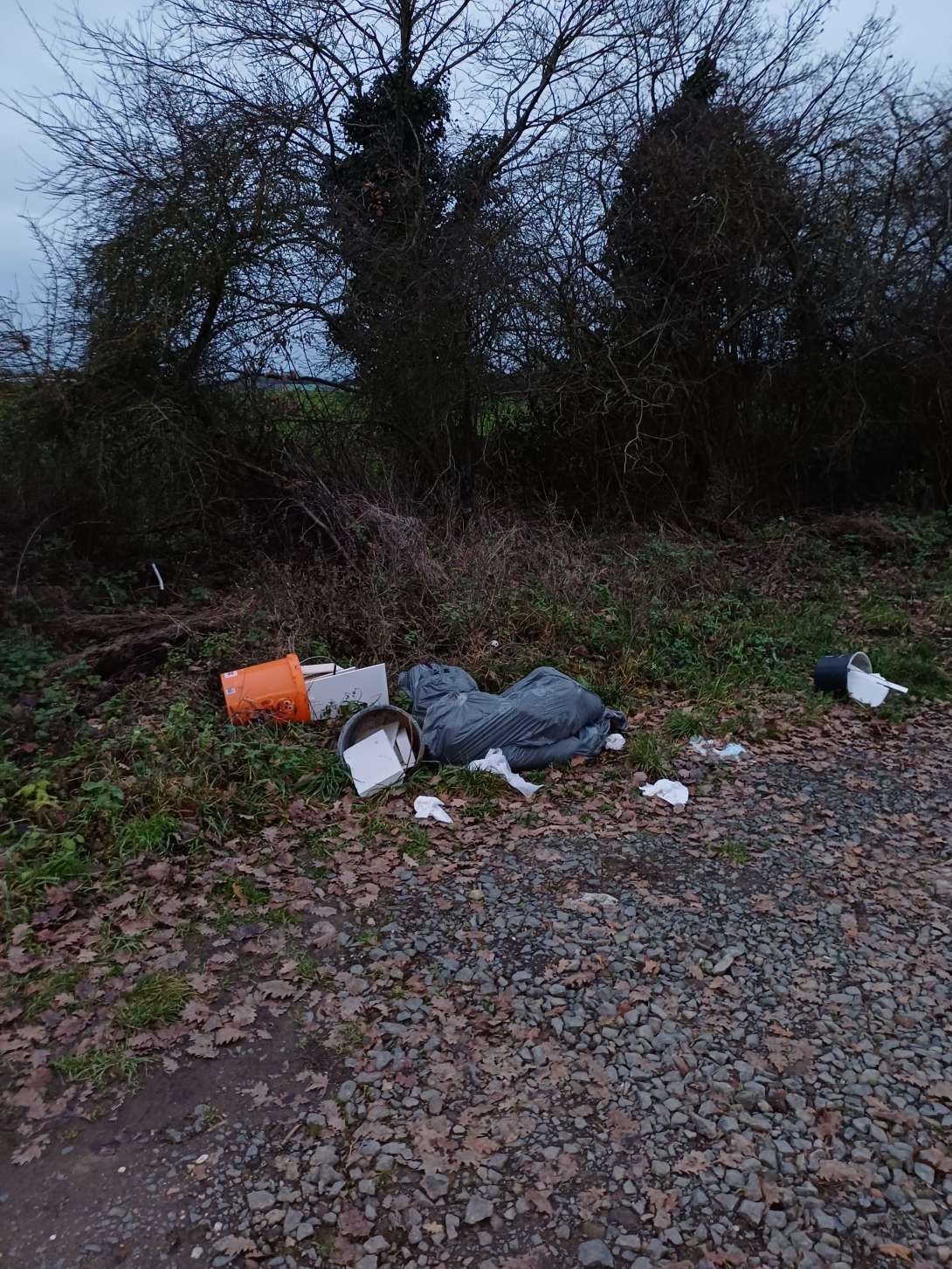 Bild zu gemeldetem Anliegen vom *2025-12-23 18:31:48