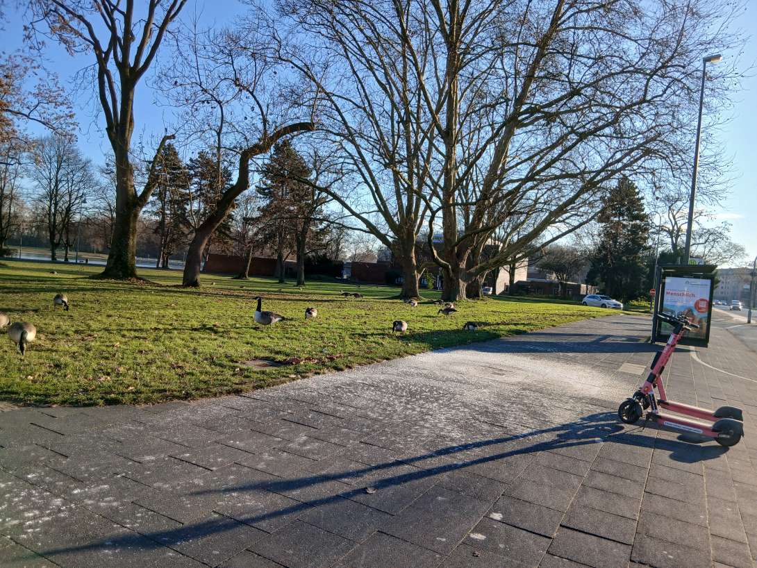 Bild zu gemeldetem Anliegen vom *2025-12-25 21:35:43