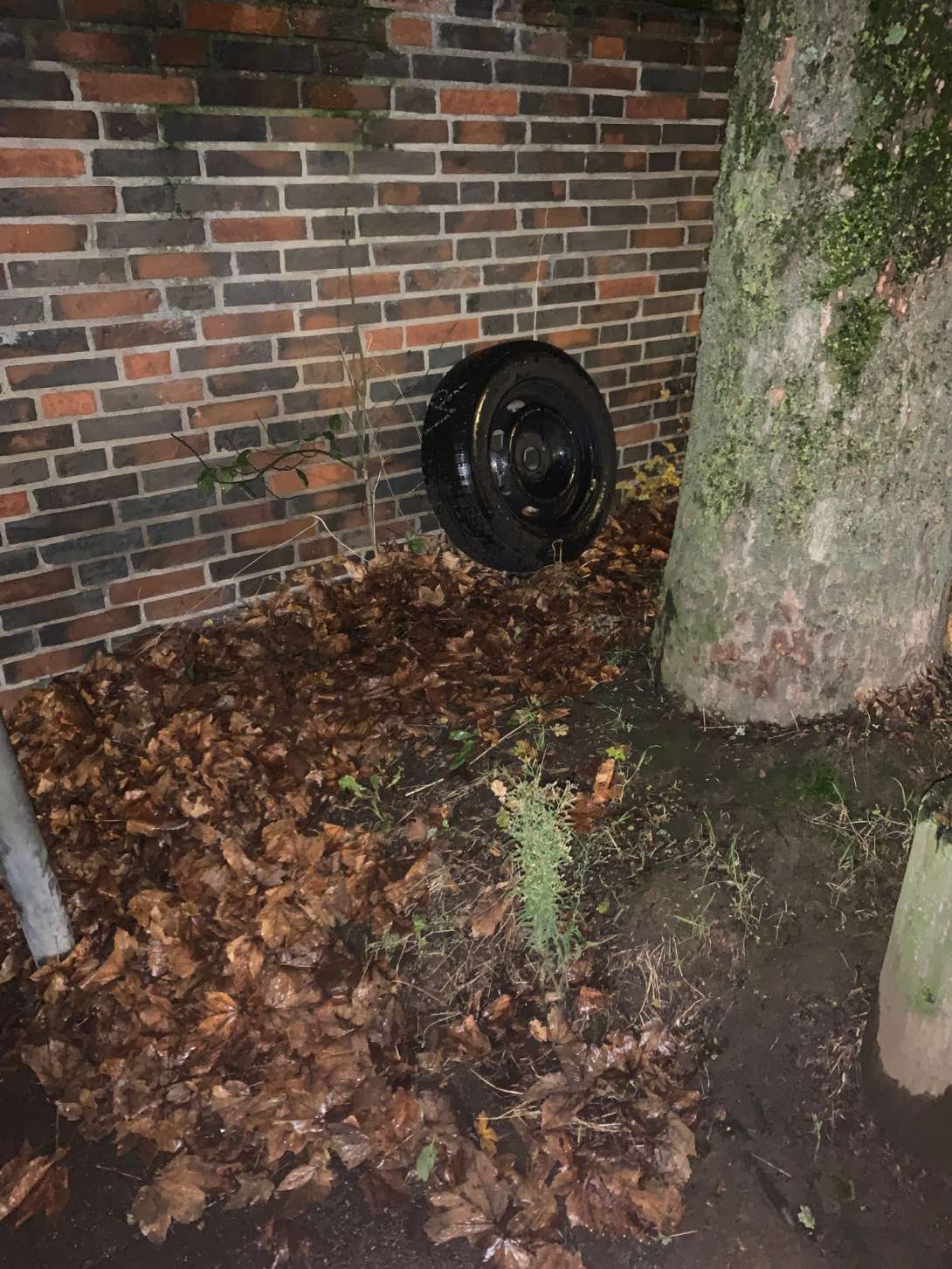 Bild zu gemeldetem Anliegen vom *2025-12-02 20:57:46