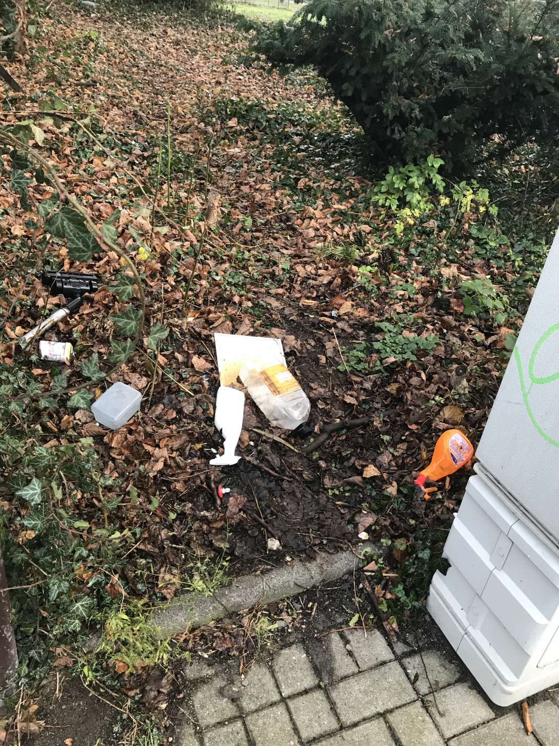 Bild zu gemeldetem Anliegen vom *2025-12-22 09:26:16