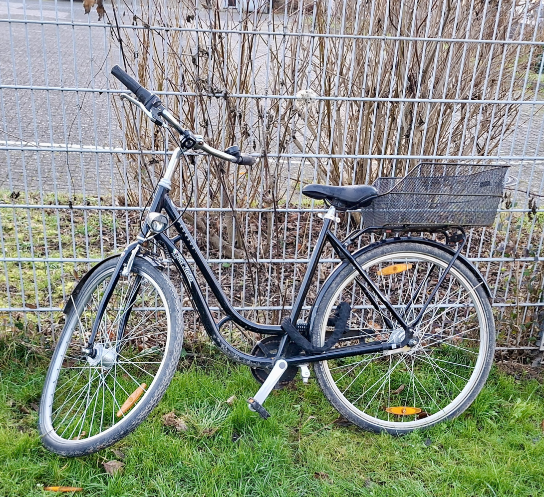 Bild zu gemeldetem Anliegen vom *2025-12-29 01:16:22