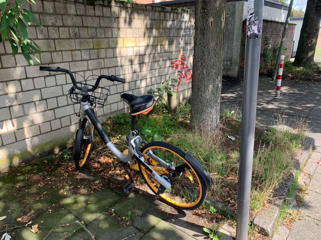 Bild zu gemeldetem Anliegen vom *2025-12-02 18:33:53