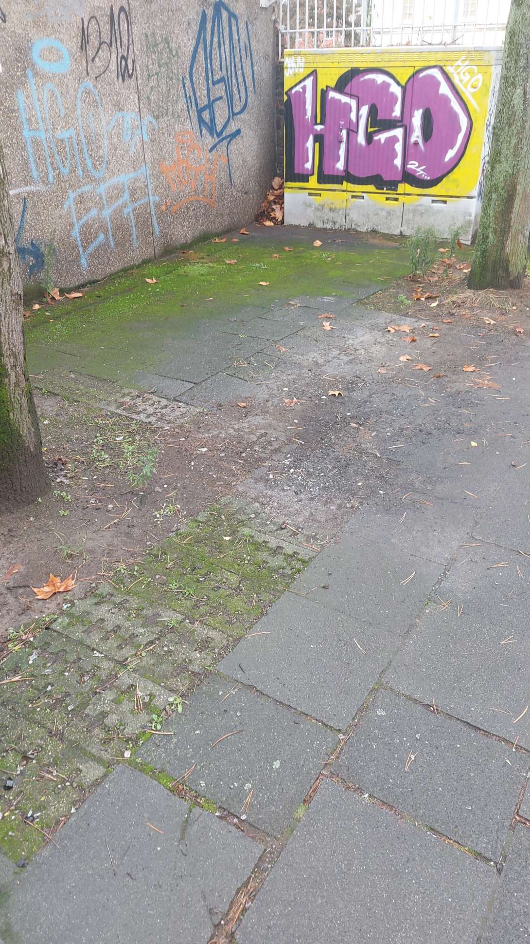 Bild zu gemeldetem Anliegen vom *2025-12-08 15:31:20