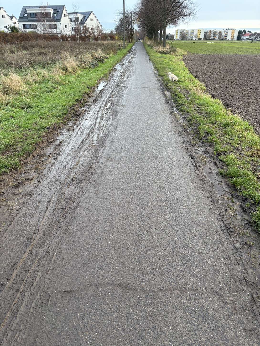 Bild zu gemeldetem Anliegen vom *2025-12-18 15:30:30