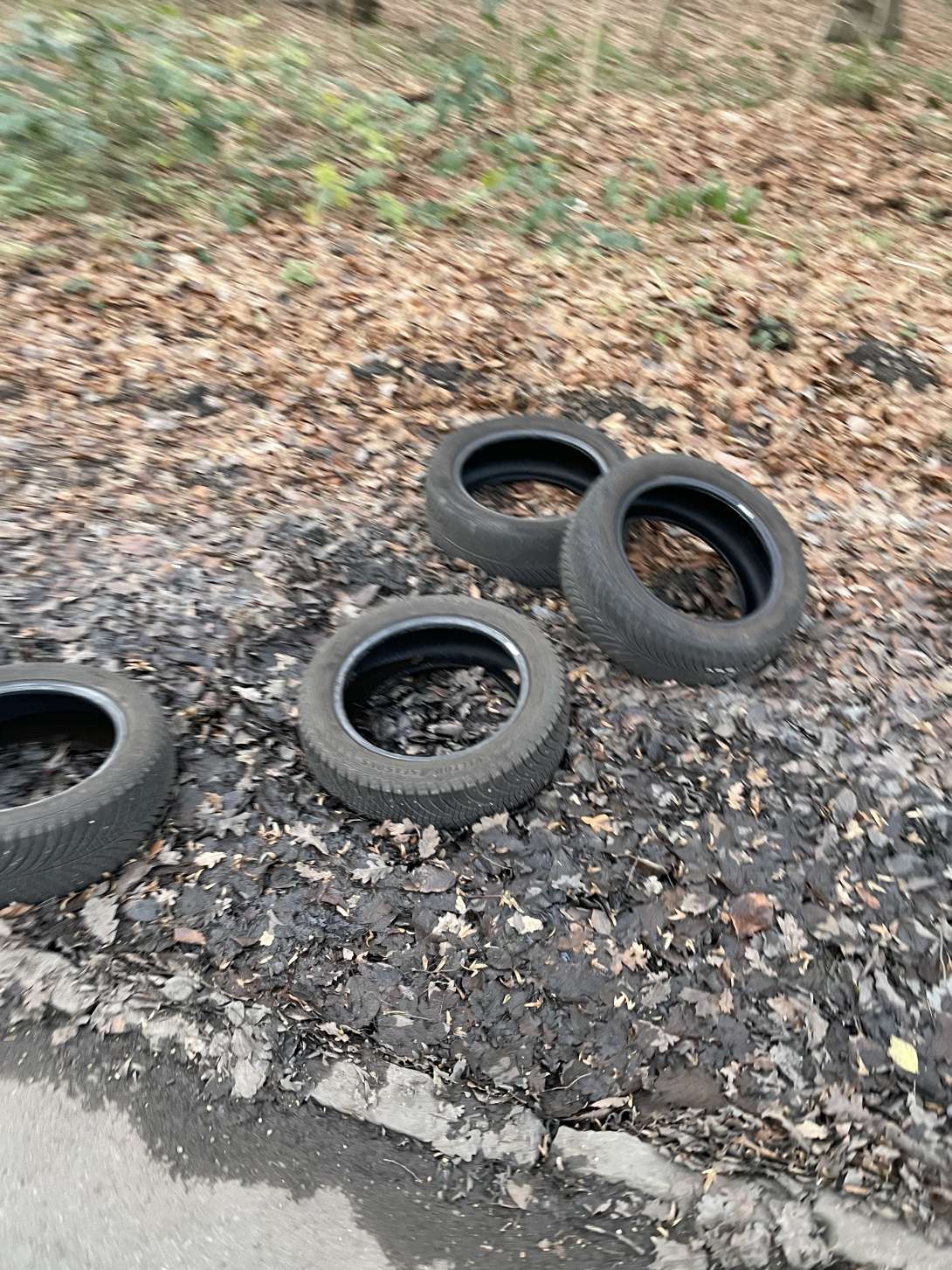 Bild zu gemeldetem Anliegen vom *2025-12-17 14:14:34