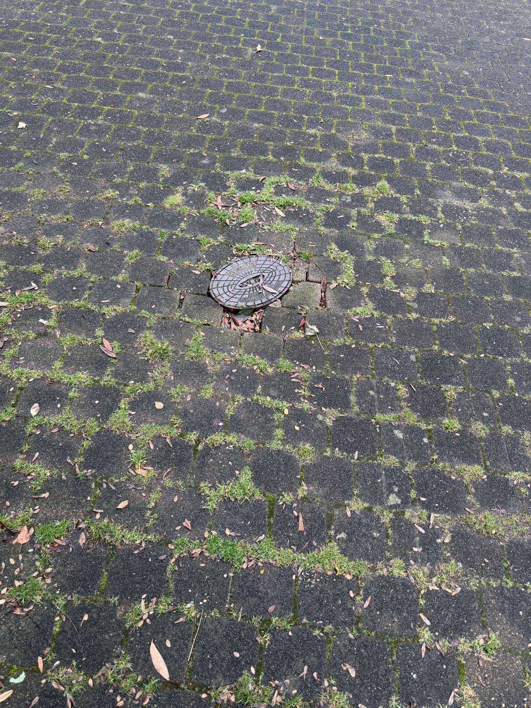 Bild zu gemeldetem Anliegen vom *2025-12-09 05:14:47