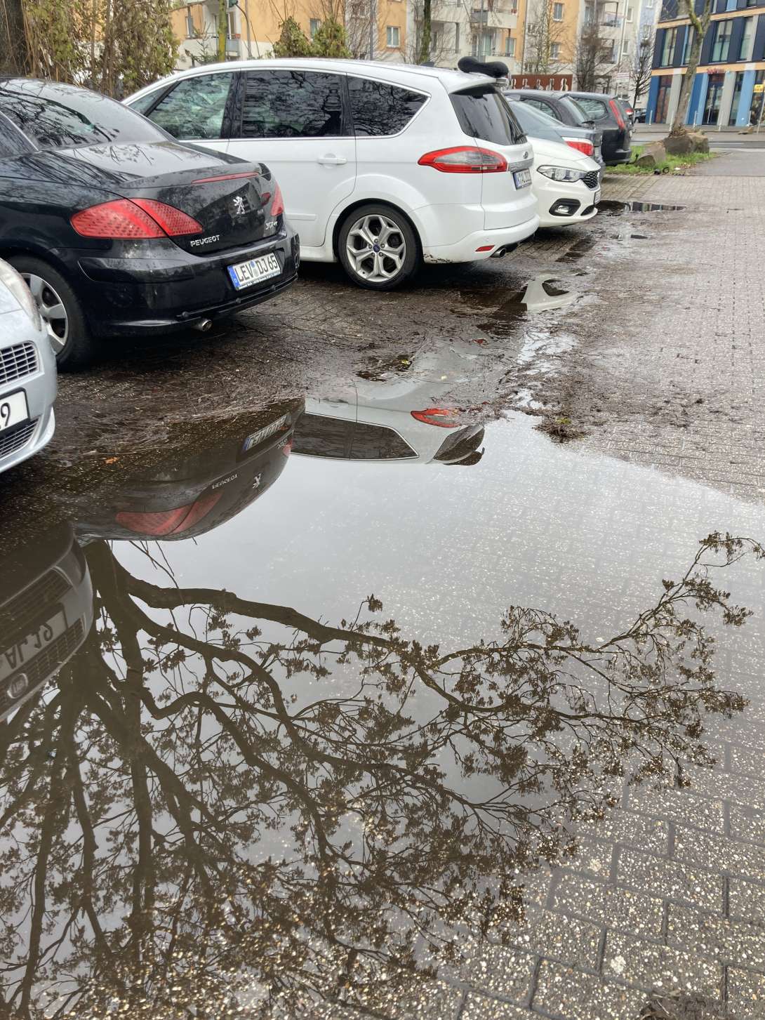 Bild zu gemeldetem Anliegen vom *2025-12-08 15:31:20