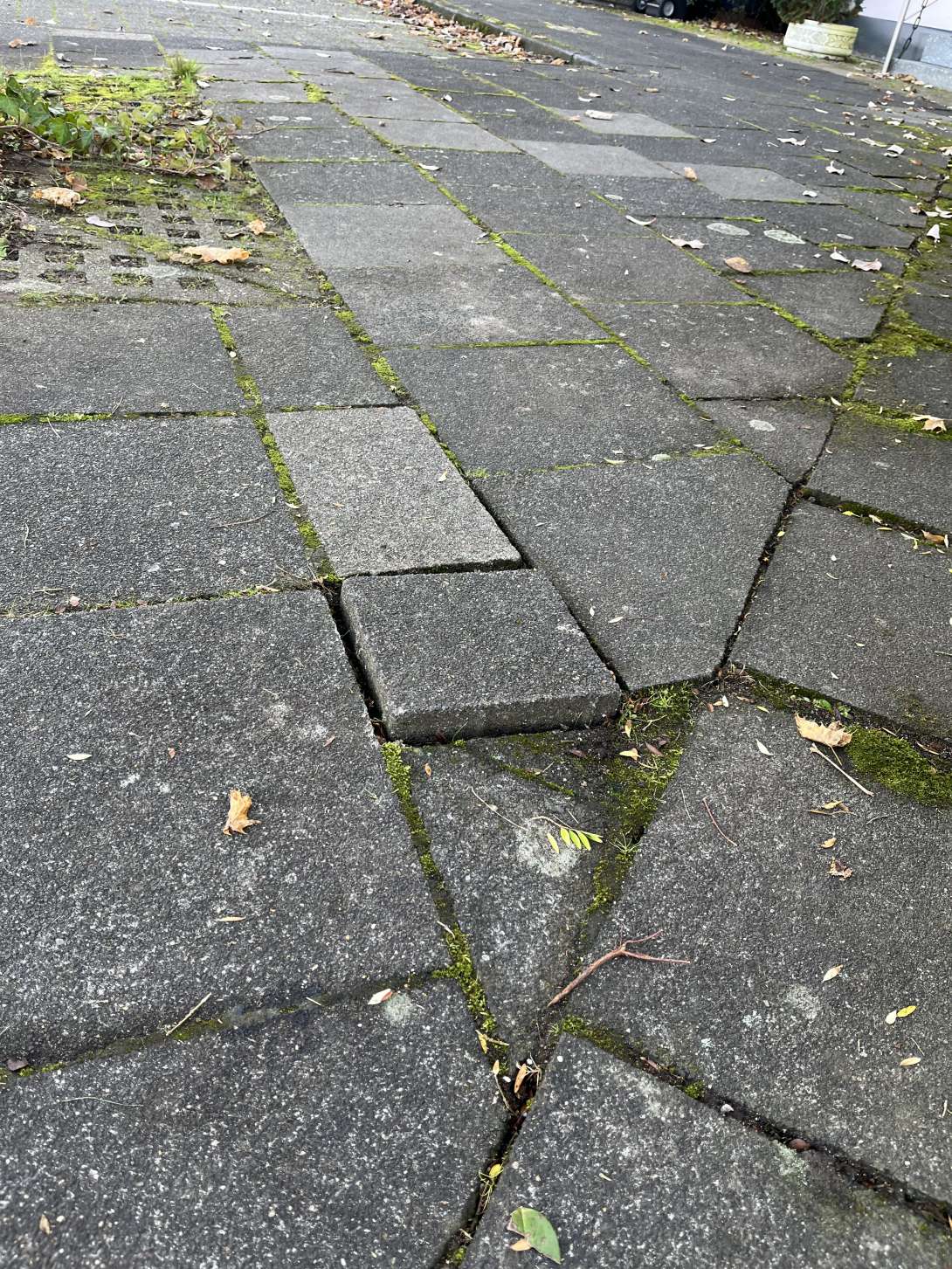 Bild zu gemeldetem Anliegen vom *2025-12-01 10:21:18