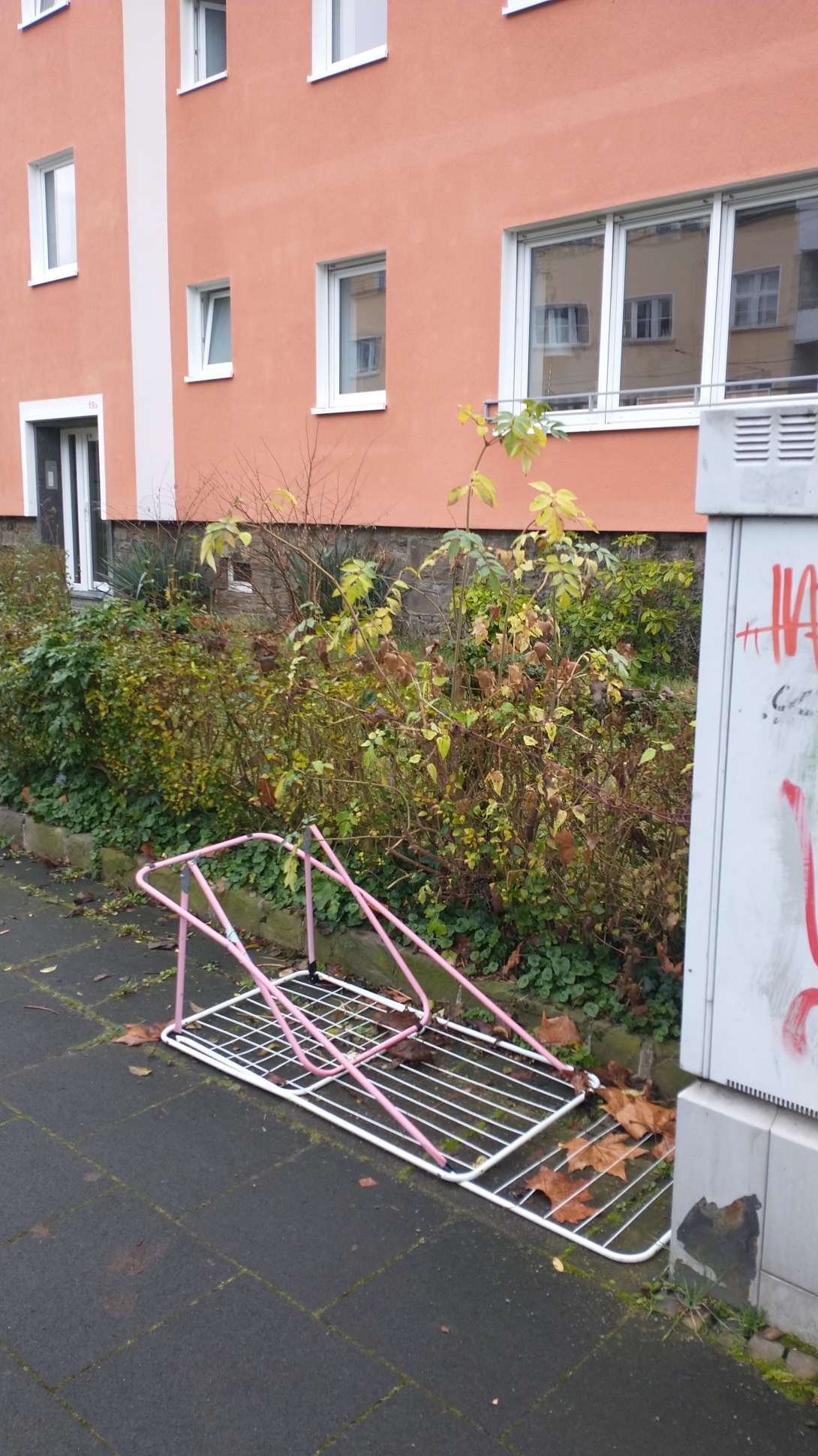 Bild zu gemeldetem Anliegen vom *2025-12-22 10:16:07