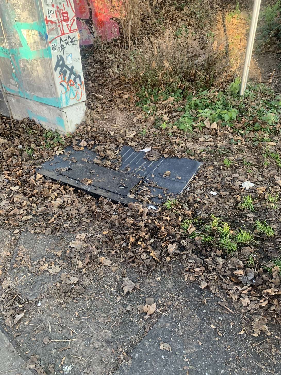 Bild zu gemeldetem Anliegen vom *2025-12-27 11:29:32