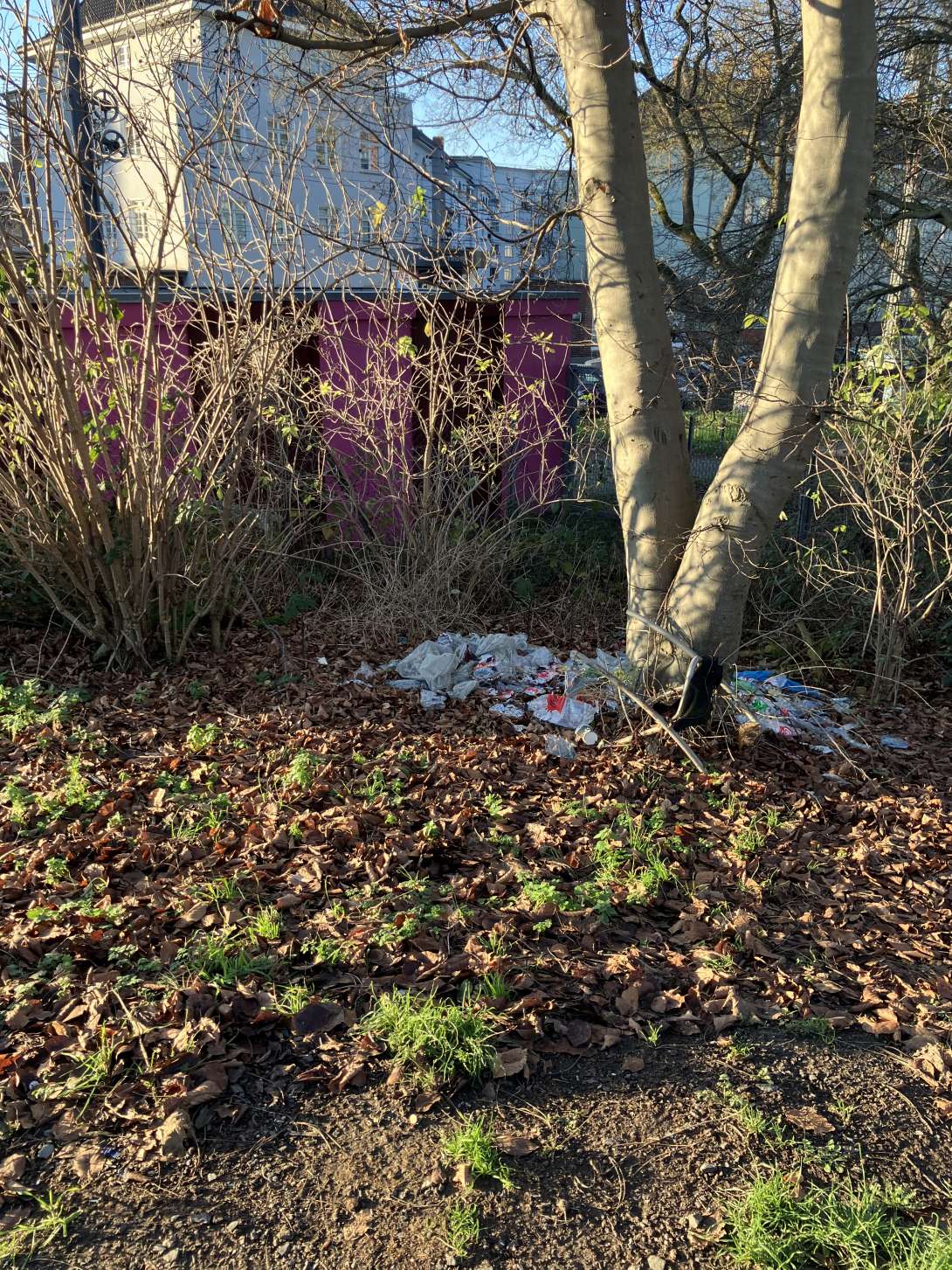 Bild zu gemeldetem Anliegen vom *2025-12-16 09:24:36