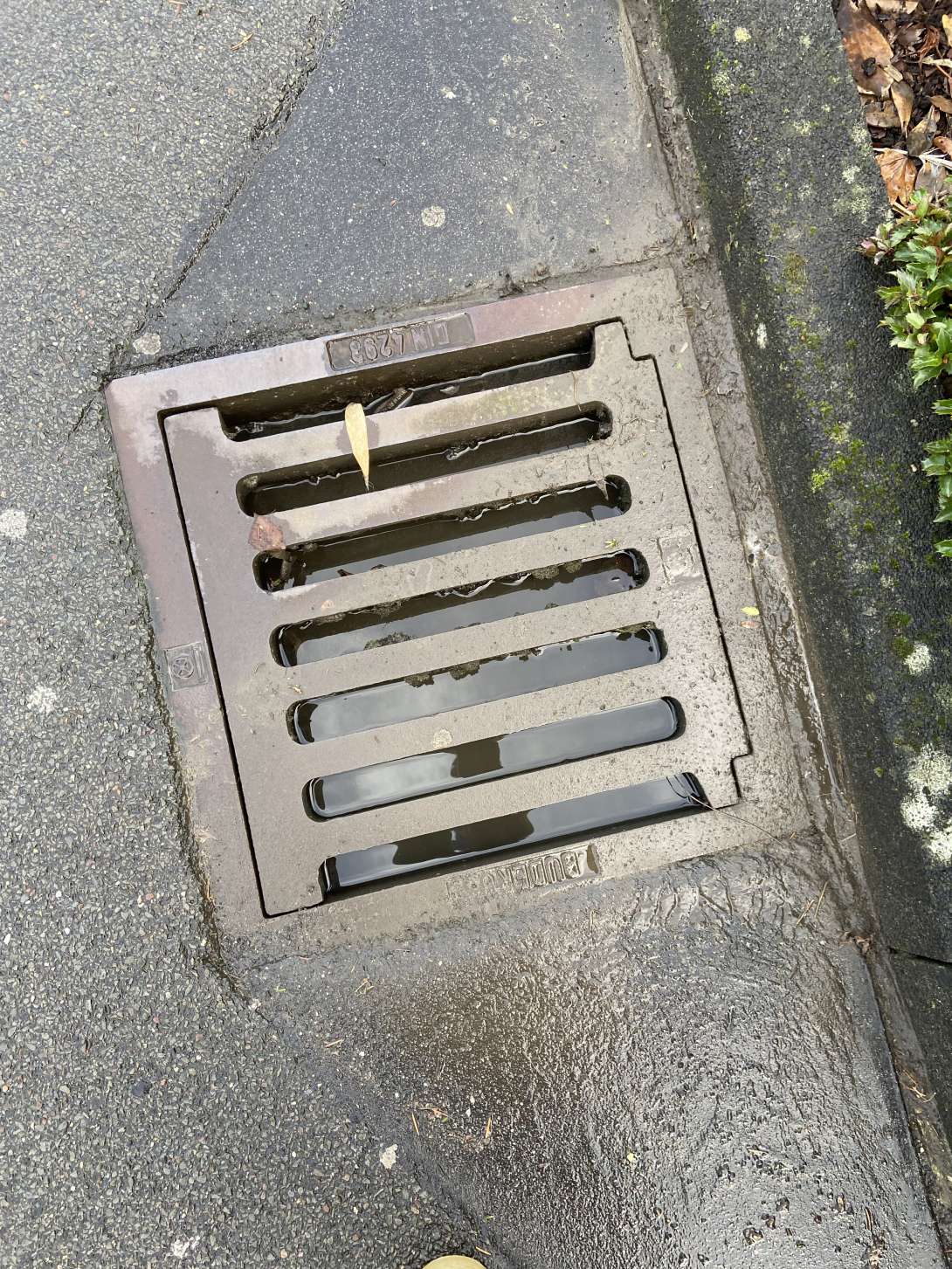 Bild zu gemeldetem Anliegen vom *2025-12-16 12:35:06