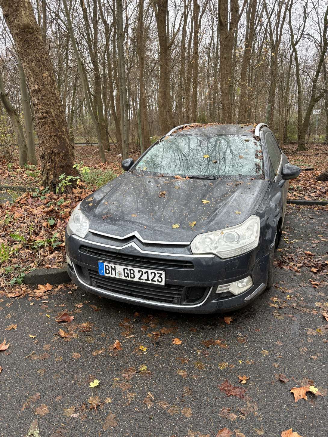 Bild zu gemeldetem Anliegen vom *2025-12-11 21:28:24