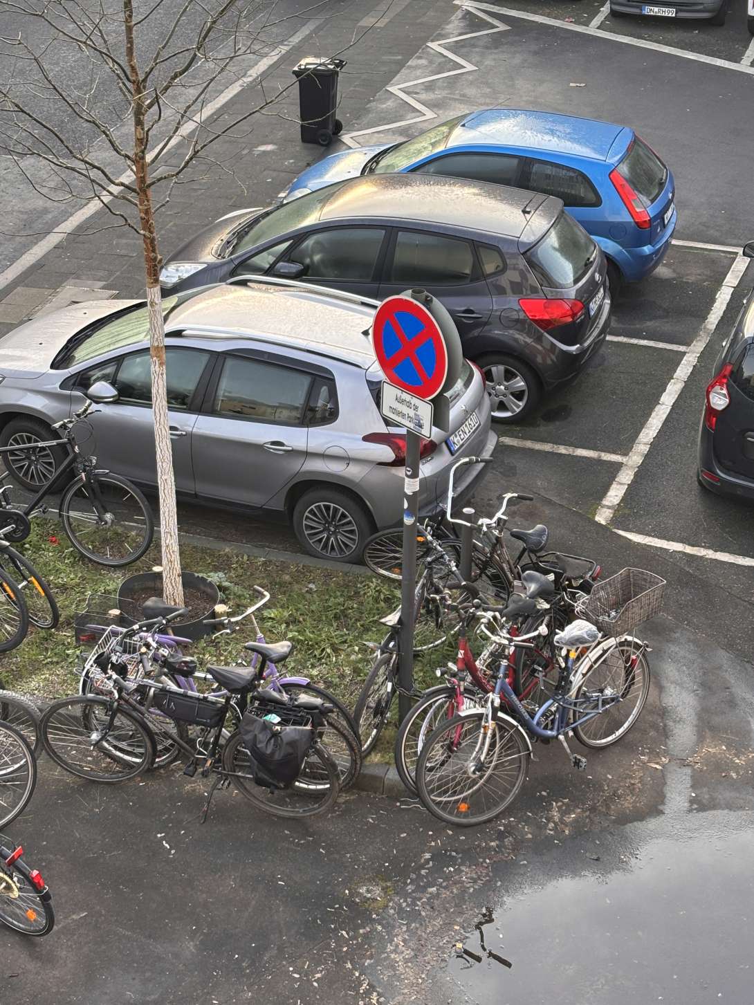 Bild zu gemeldetem Anliegen vom *2025-12-17 18:36:32