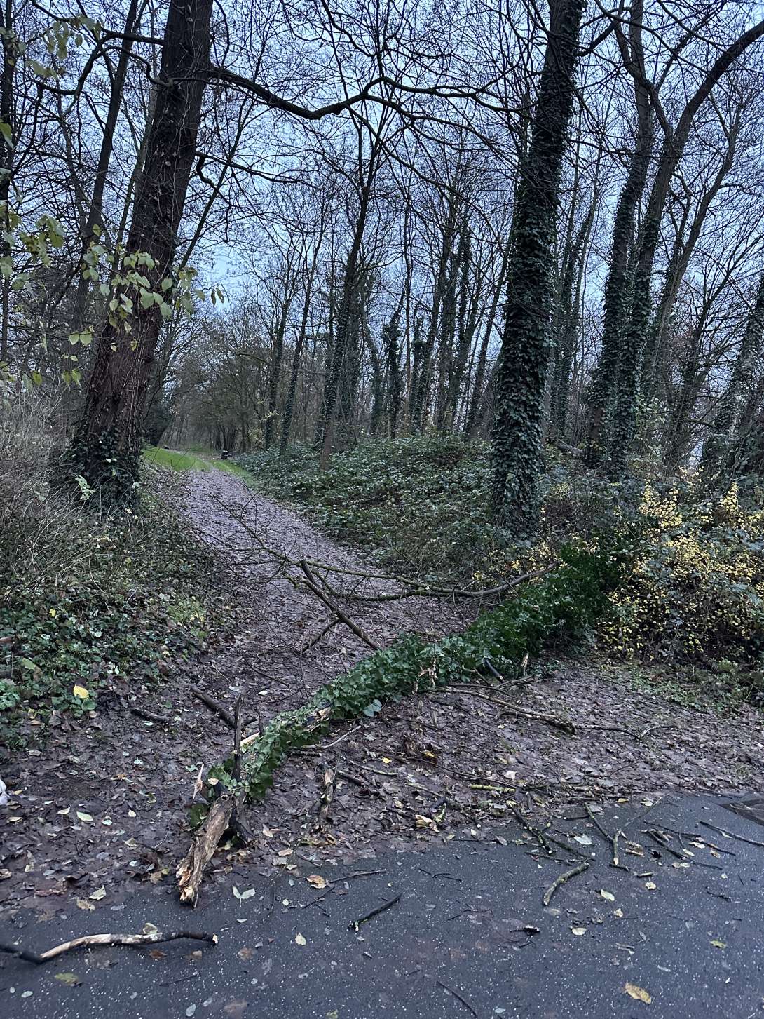 Bild zu gemeldetem Anliegen vom *2025-12-07 16:26:52