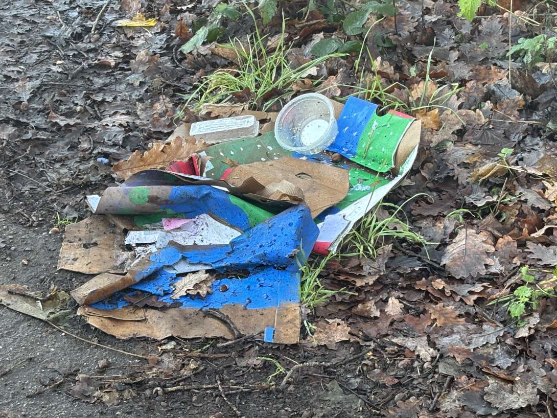 Bild zu gemeldetem Anliegen vom *2025-12-11 13:37:00