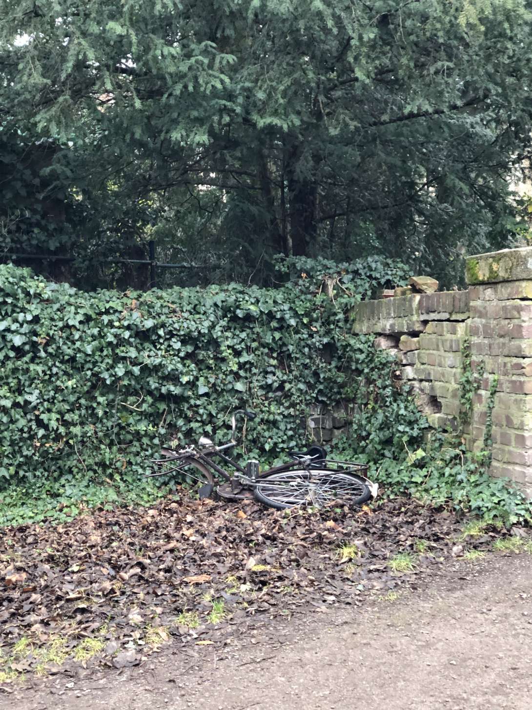 Bild zu gemeldetem Anliegen vom *2025-12-27 01:03:38