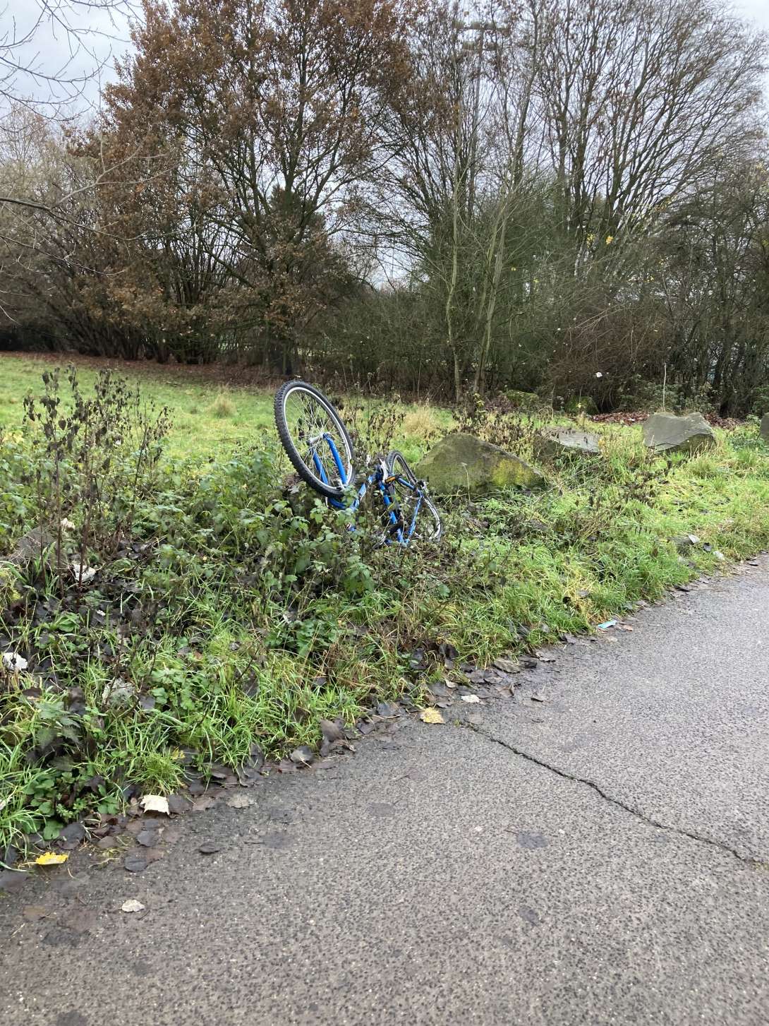 Bild zu gemeldetem Anliegen vom *2025-12-10 14:20:08