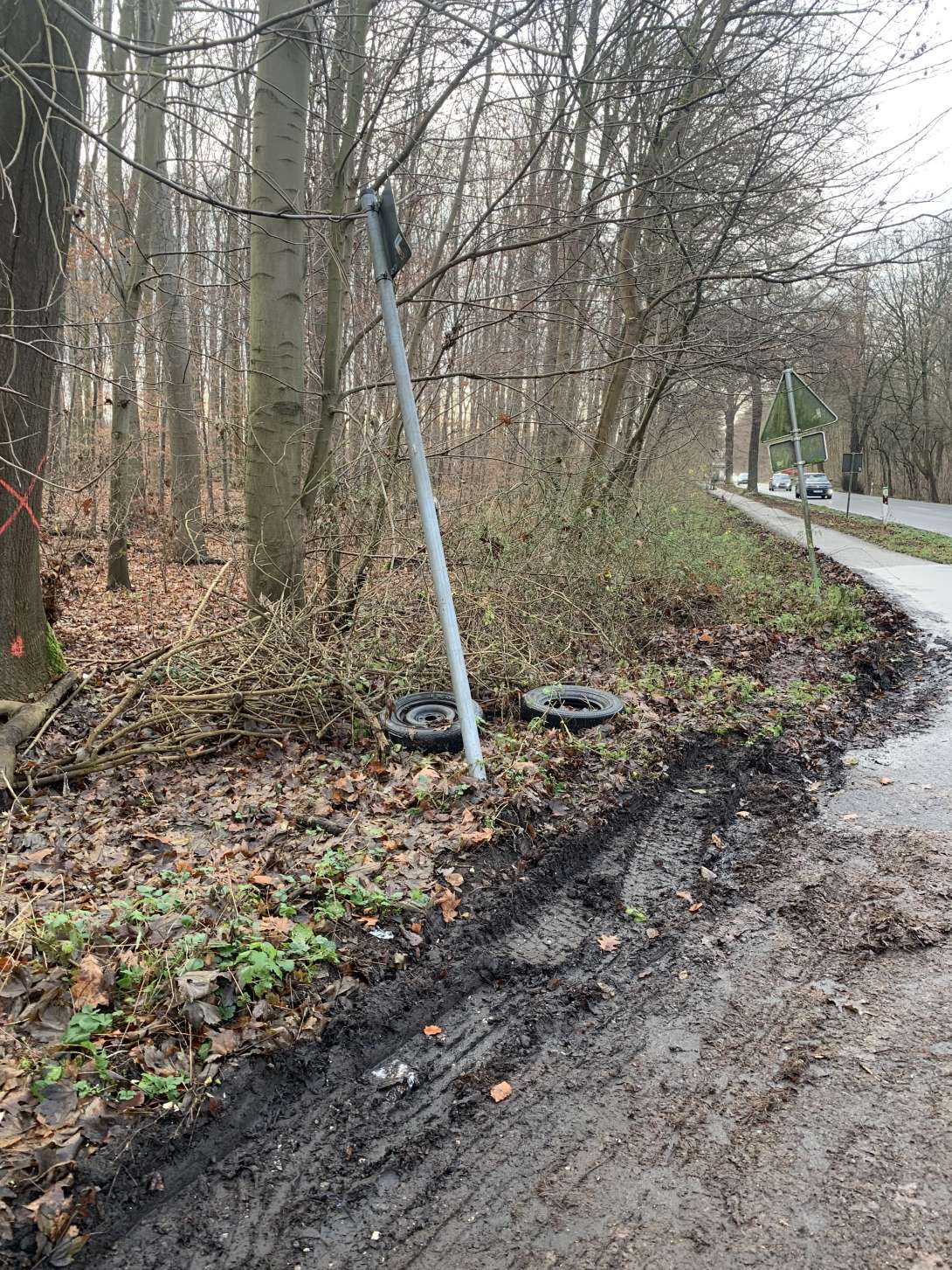 Bild zu gemeldetem Anliegen vom *2025-12-21 11:01:31