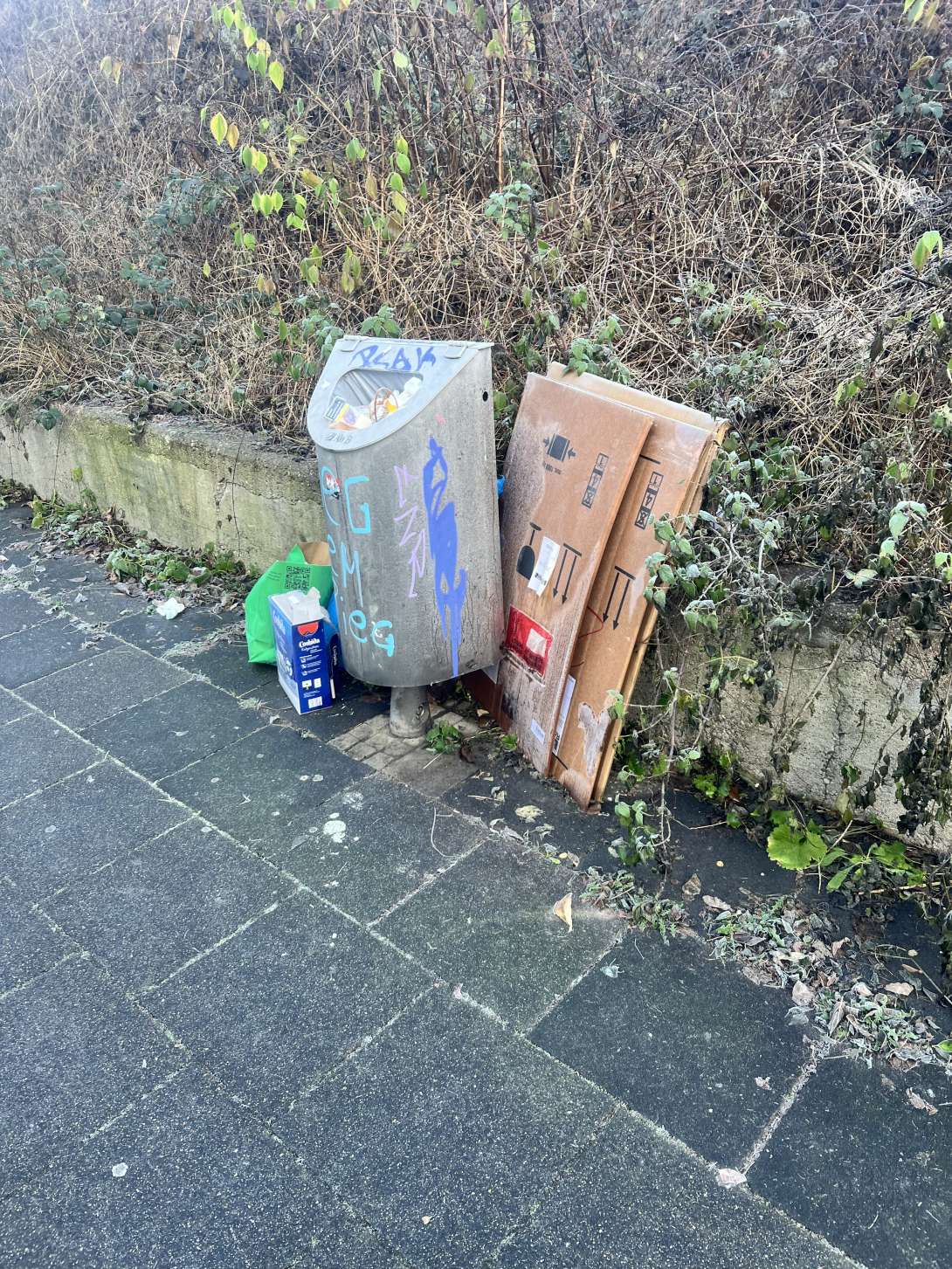 Bild zu gemeldetem Anliegen vom *2025-12-30 11:00:56