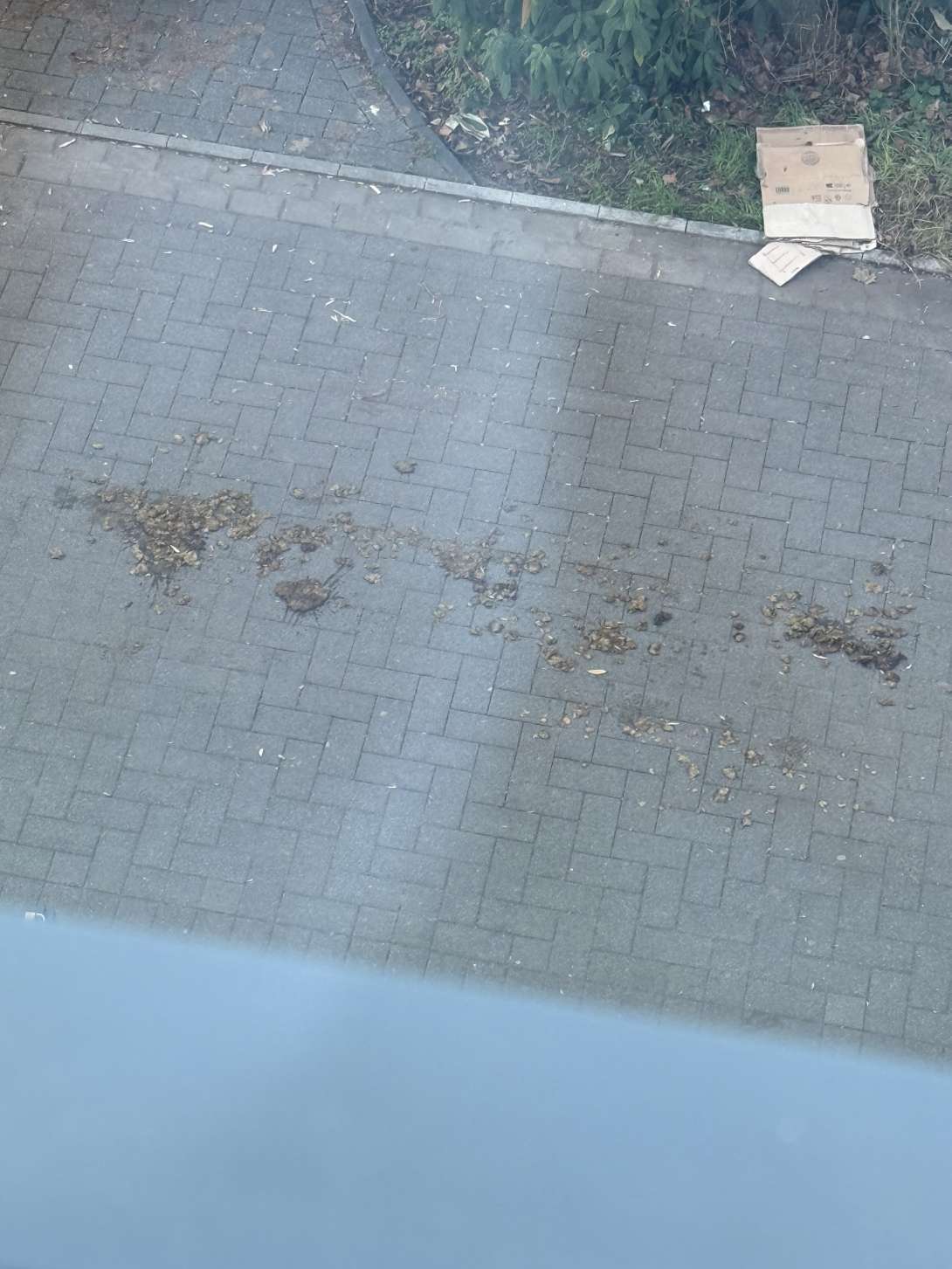 Bild zu gemeldetem Anliegen vom *2025-12-25 18:36:23