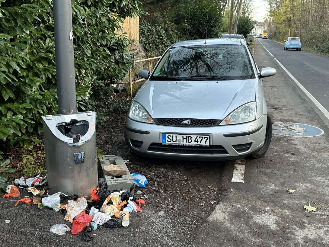 Bild zu gemeldetem Anliegen vom *2025-12-01 15:55:39