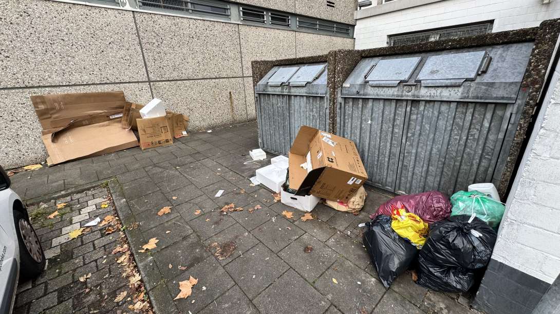 Bild zu gemeldetem Anliegen vom *2025-12-05 12:49:37