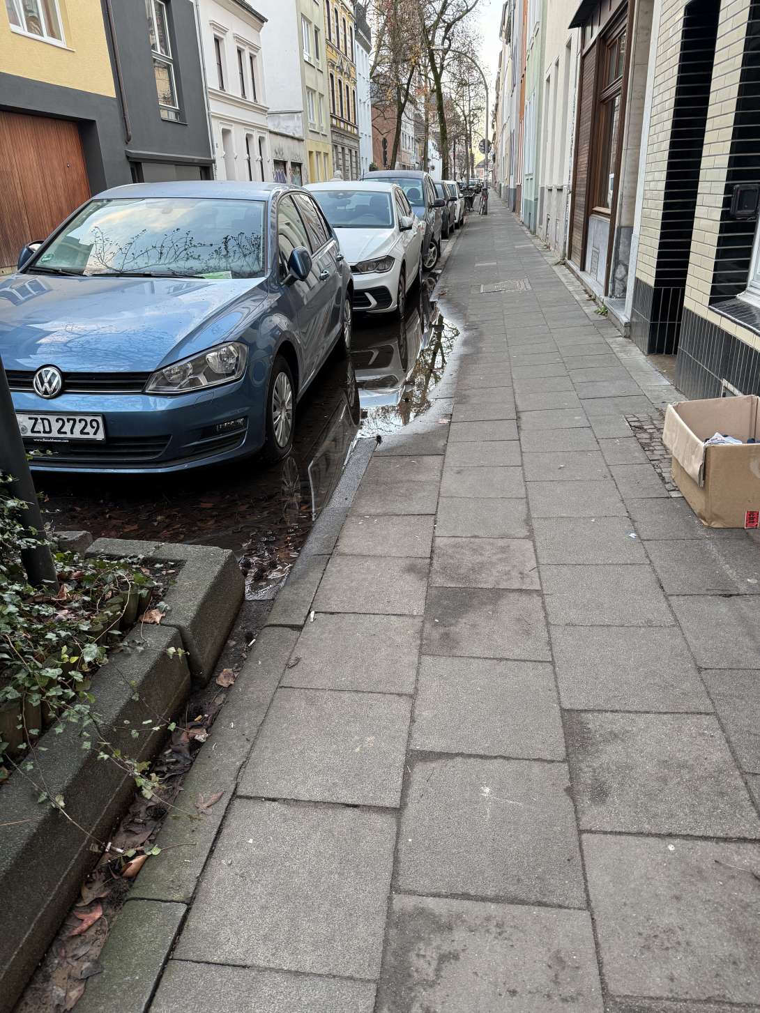 Bild zu gemeldetem Anliegen vom *2025-12-11 09:32:08