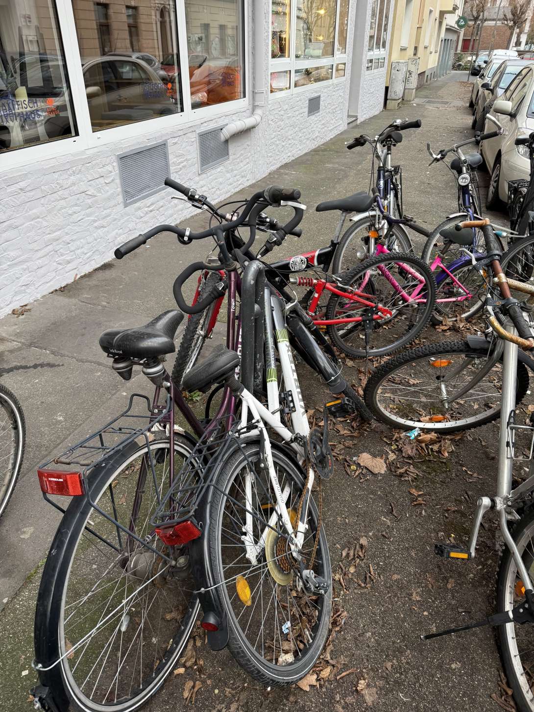 Bild zu gemeldetem Anliegen vom *2025-12-17 09:27:52