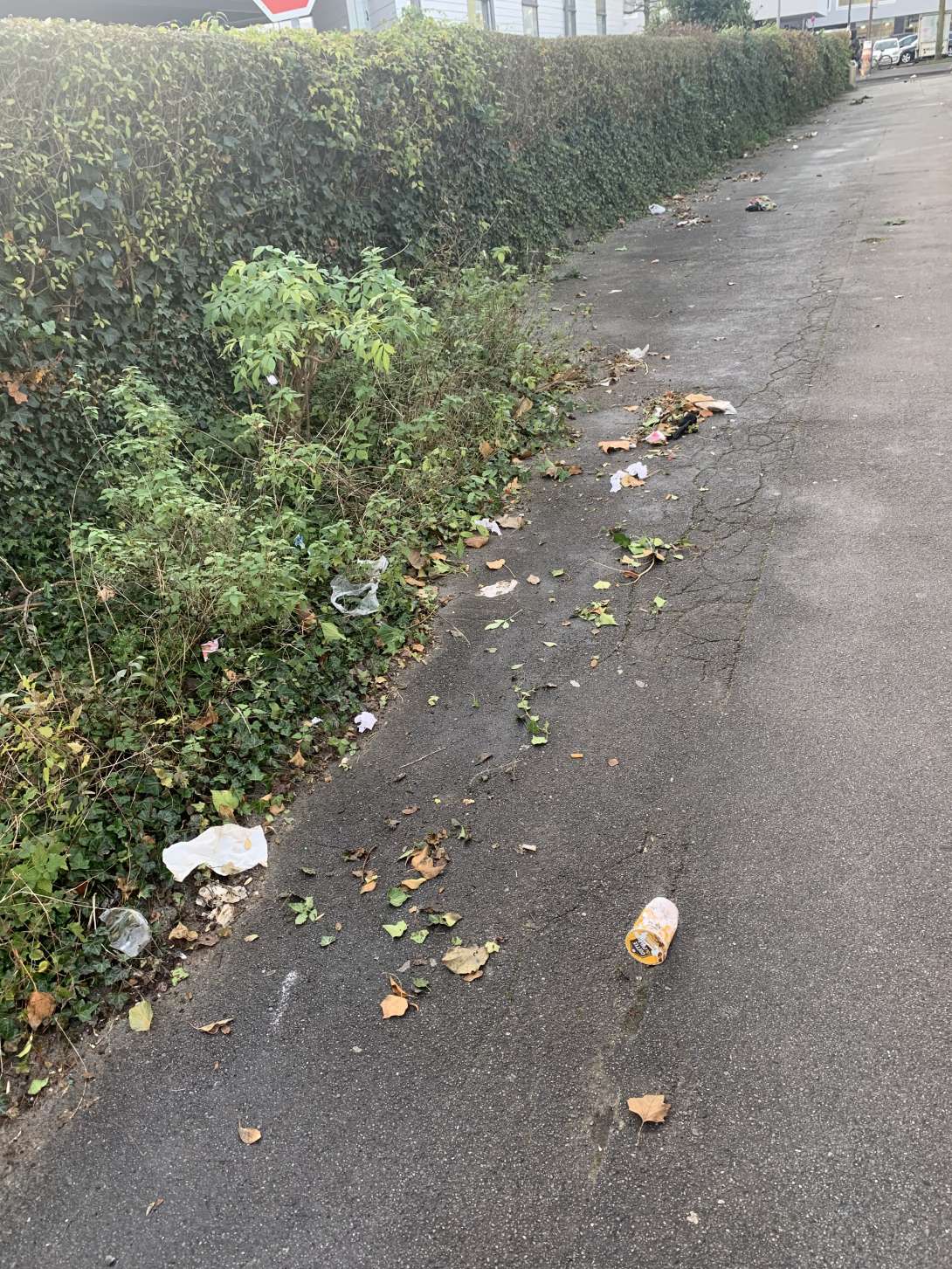 Bild zu gemeldetem Anliegen vom *2025-12-18 10:11:42