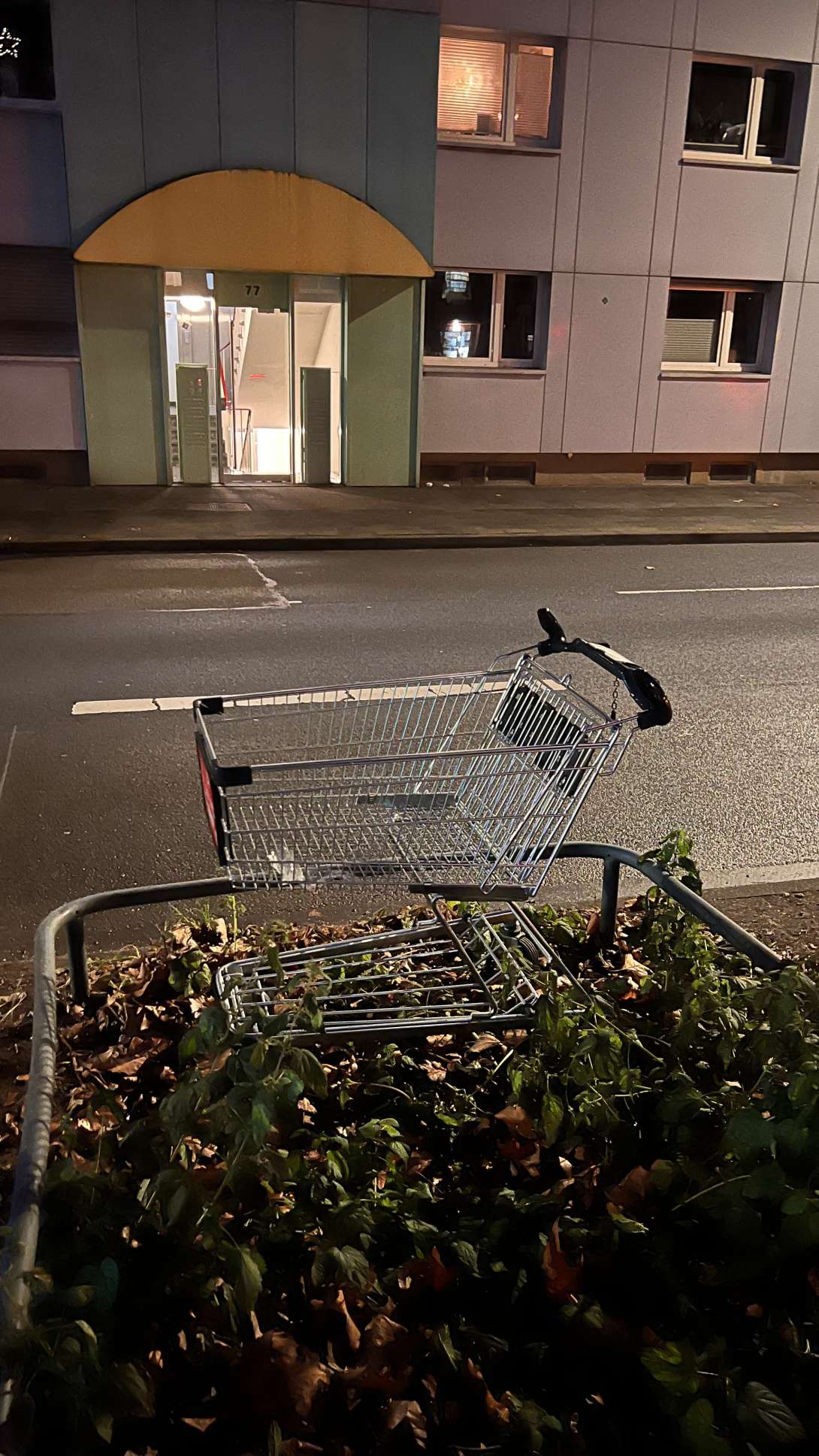 Bild zu gemeldetem Anliegen vom *2026-01-02 10:19:12