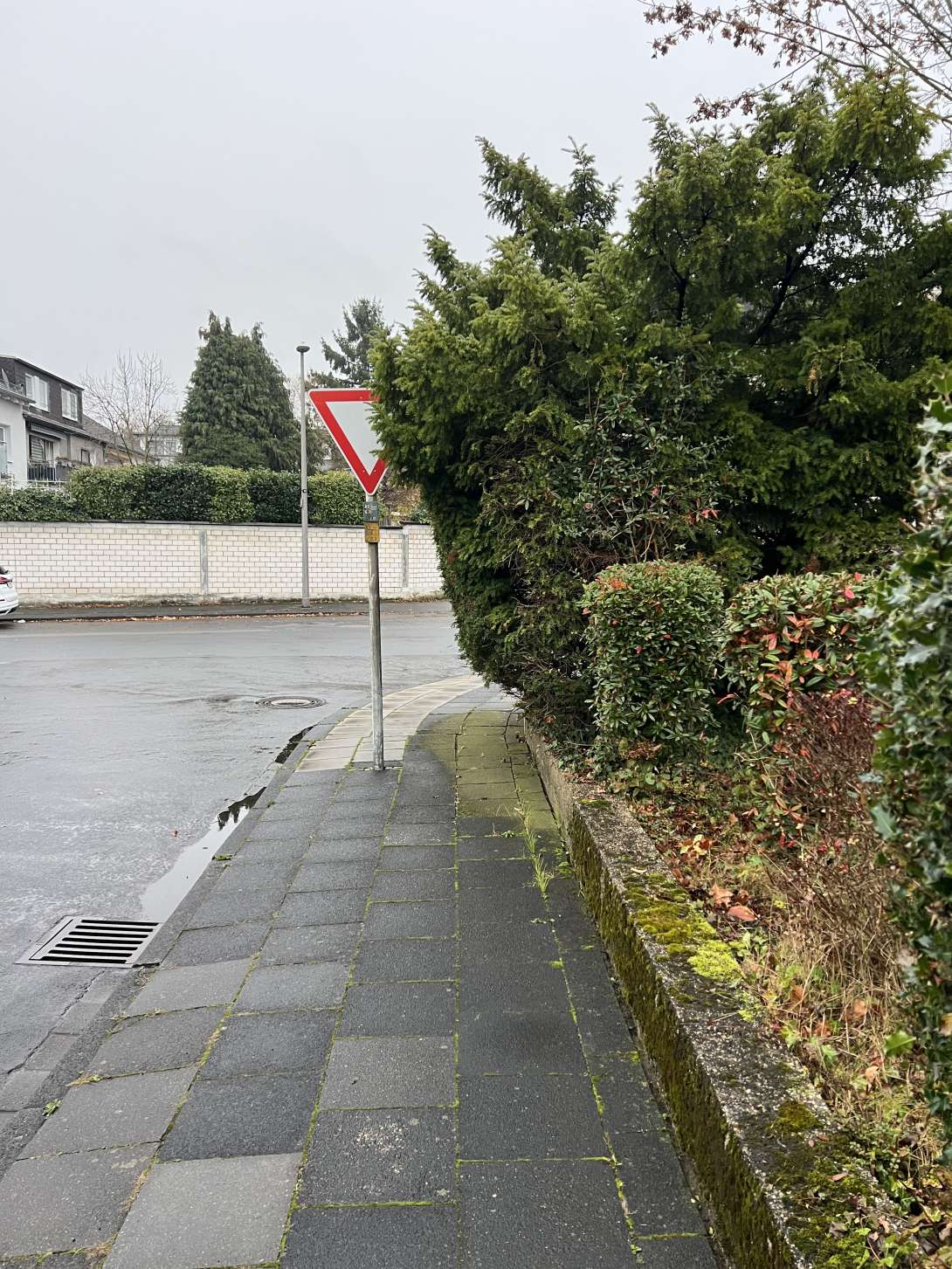 Hecke blockiert den Weg