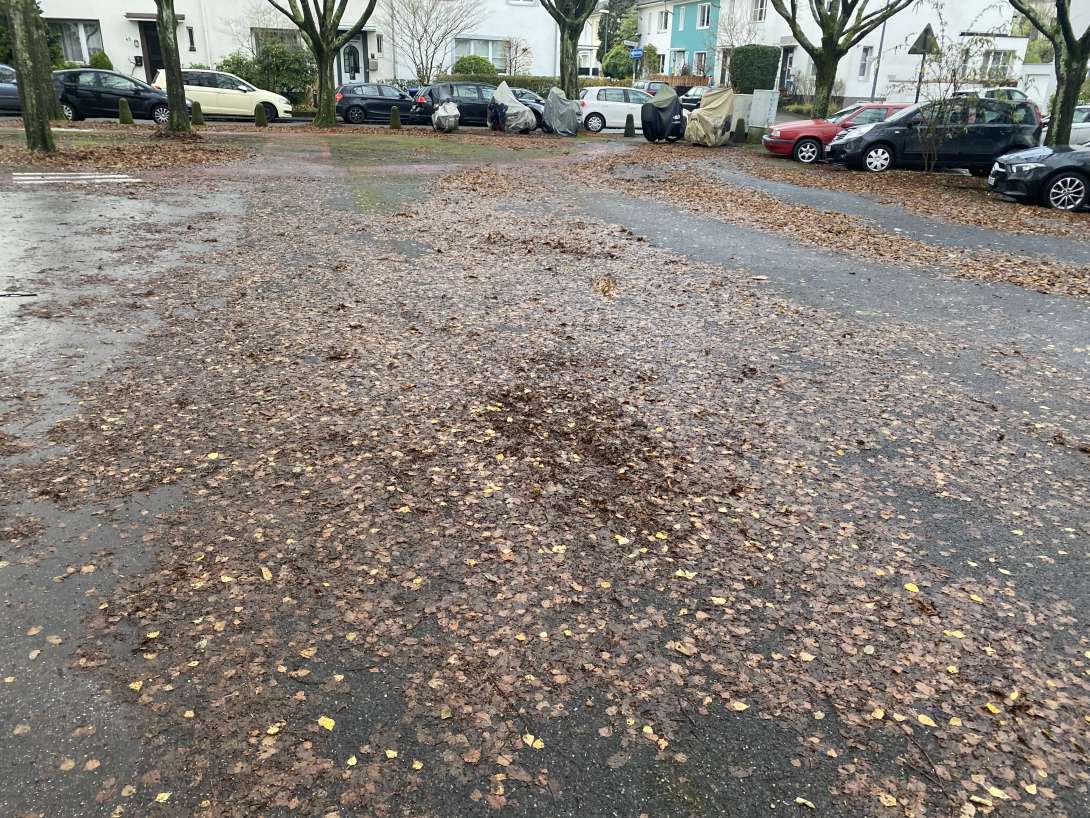 Bild zu gemeldetem Anliegen vom *2025-12-09 21:25:07