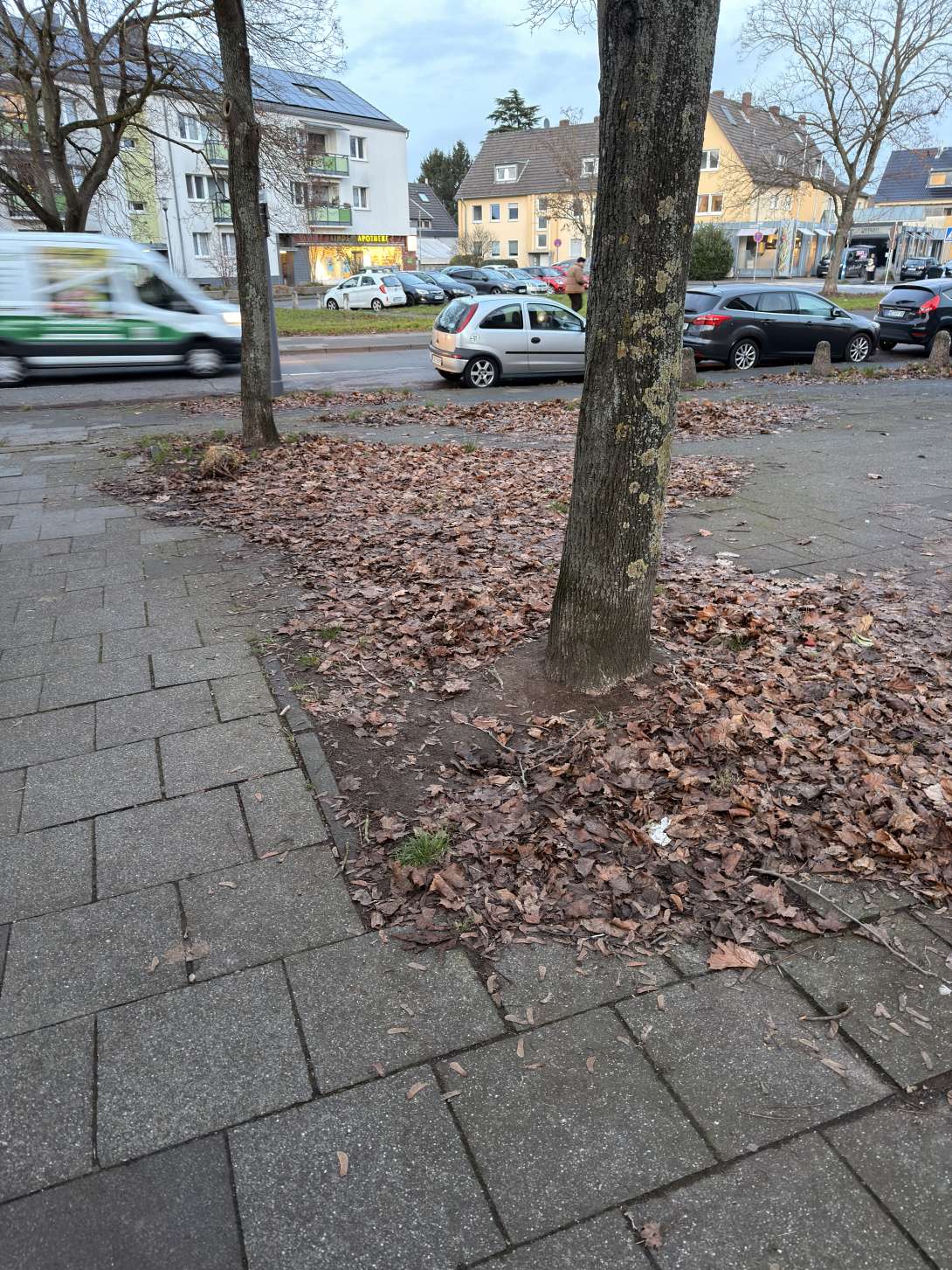 Bild zu gemeldetem Anliegen vom *2025-12-12 16:38:17