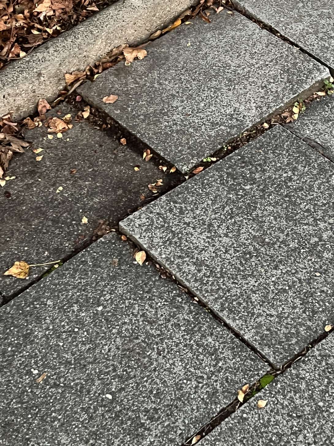 Bild zu gemeldetem Anliegen vom *2025-12-09 17:11:48