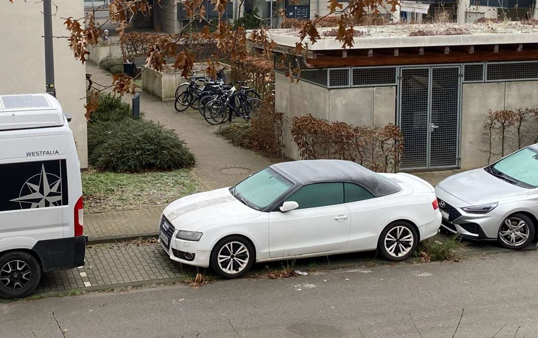 Bild zu gemeldetem Anliegen vom *2025-12-29 09:39:58