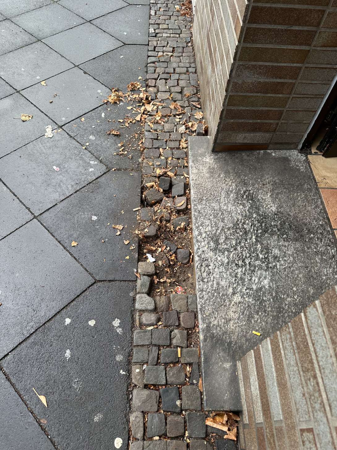 Bild zu gemeldetem Anliegen vom *2025-12-08 10:33:40