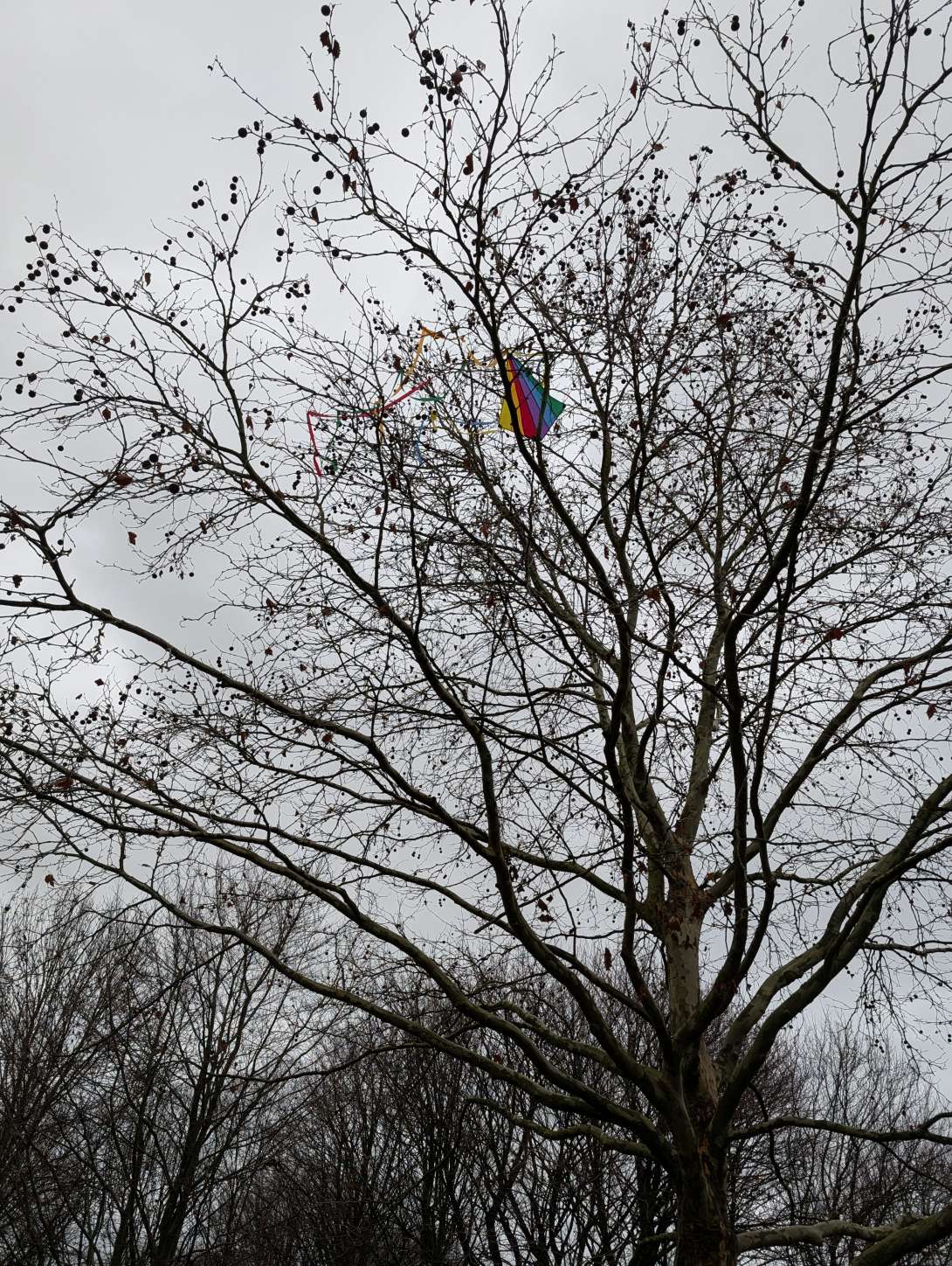 Bild zu gemeldetem Anliegen vom *2025-12-08 14:24:18