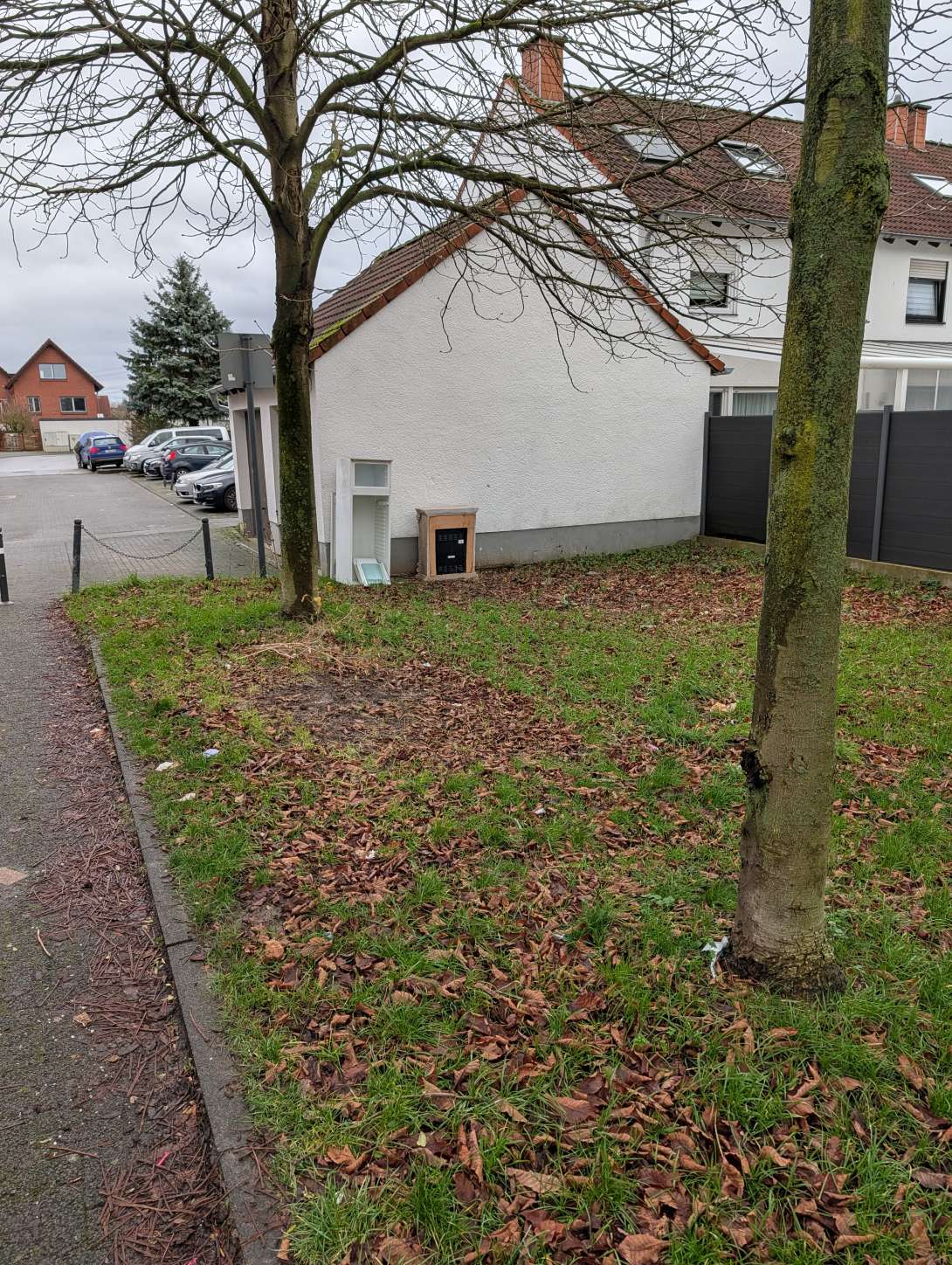 Bild zu gemeldetem Anliegen vom *2025-12-08 14:20:25