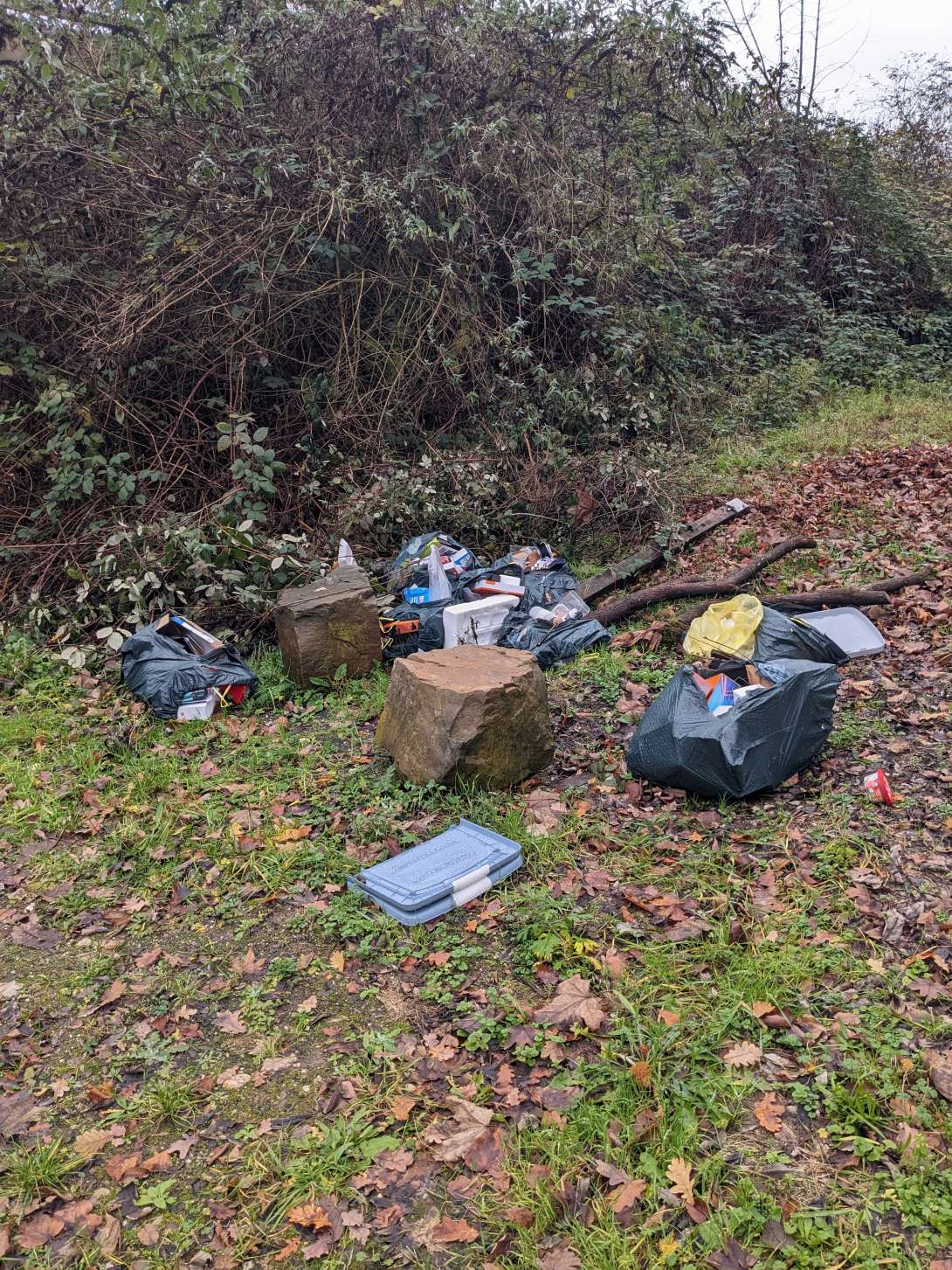 Bild zu gemeldetem Anliegen vom *2025-12-08 12:27:19