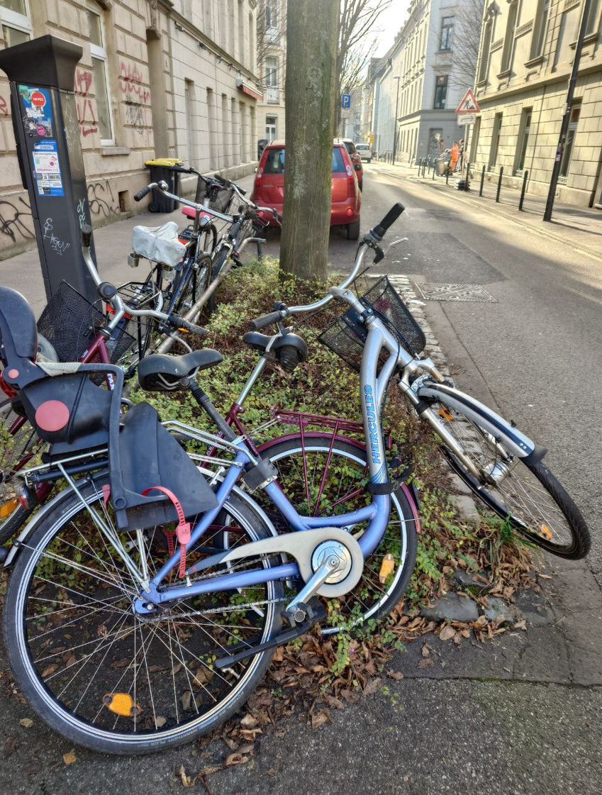 Bild zu gemeldetem Anliegen vom *2025-12-17 09:27:52