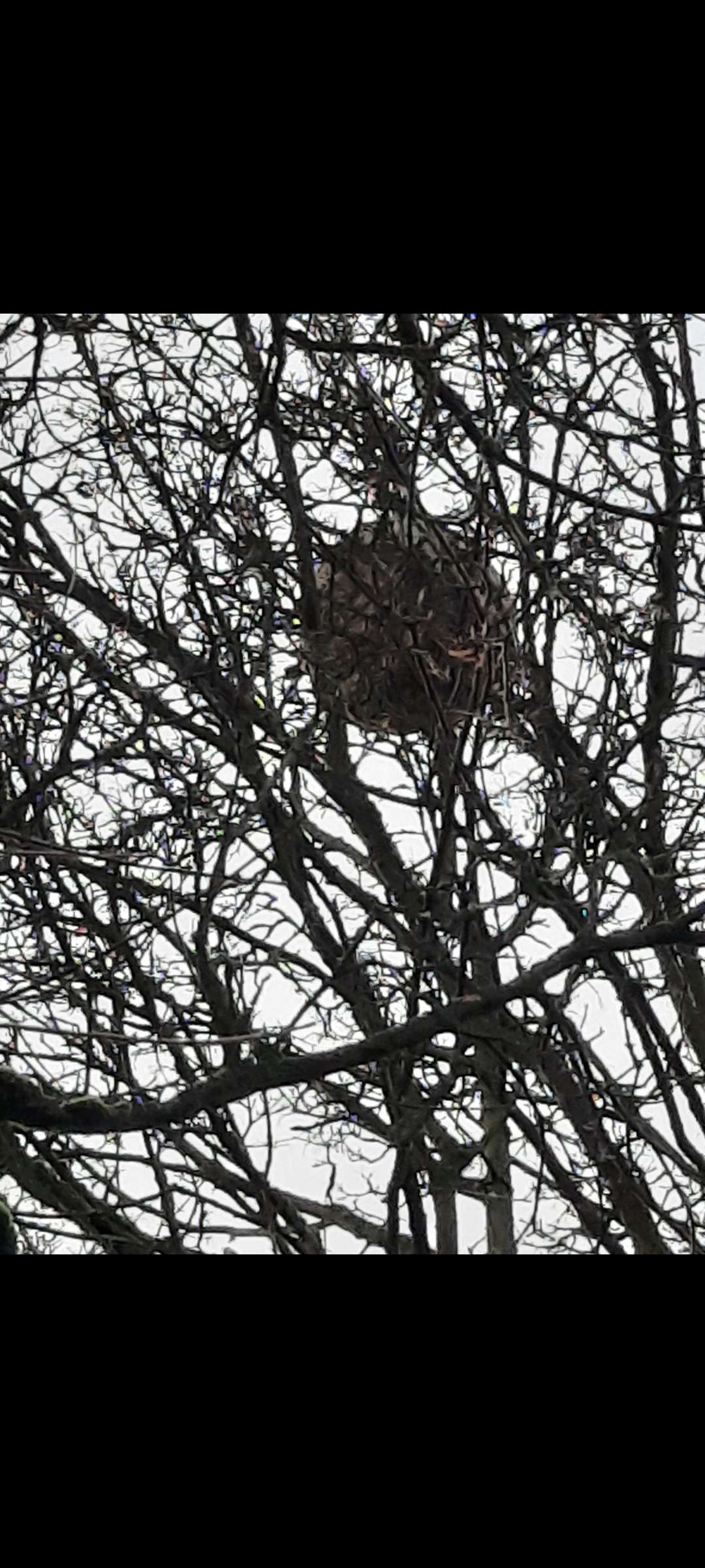 Bild zu gemeldetem Anliegen vom *2025-12-15 03:12:21