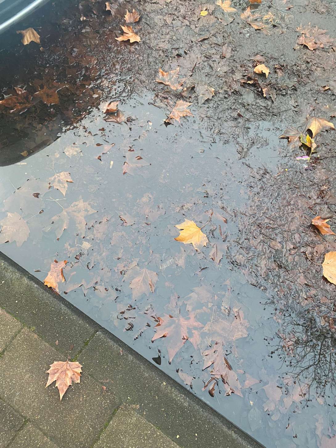 Bild zu gemeldetem Anliegen vom *2025-12-10 15:57:29