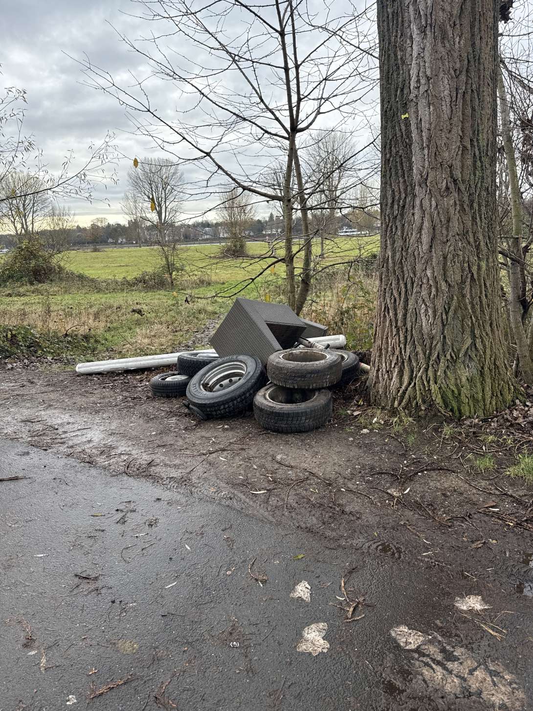 Bild zu gemeldetem Anliegen vom *2025-12-07 11:01:32