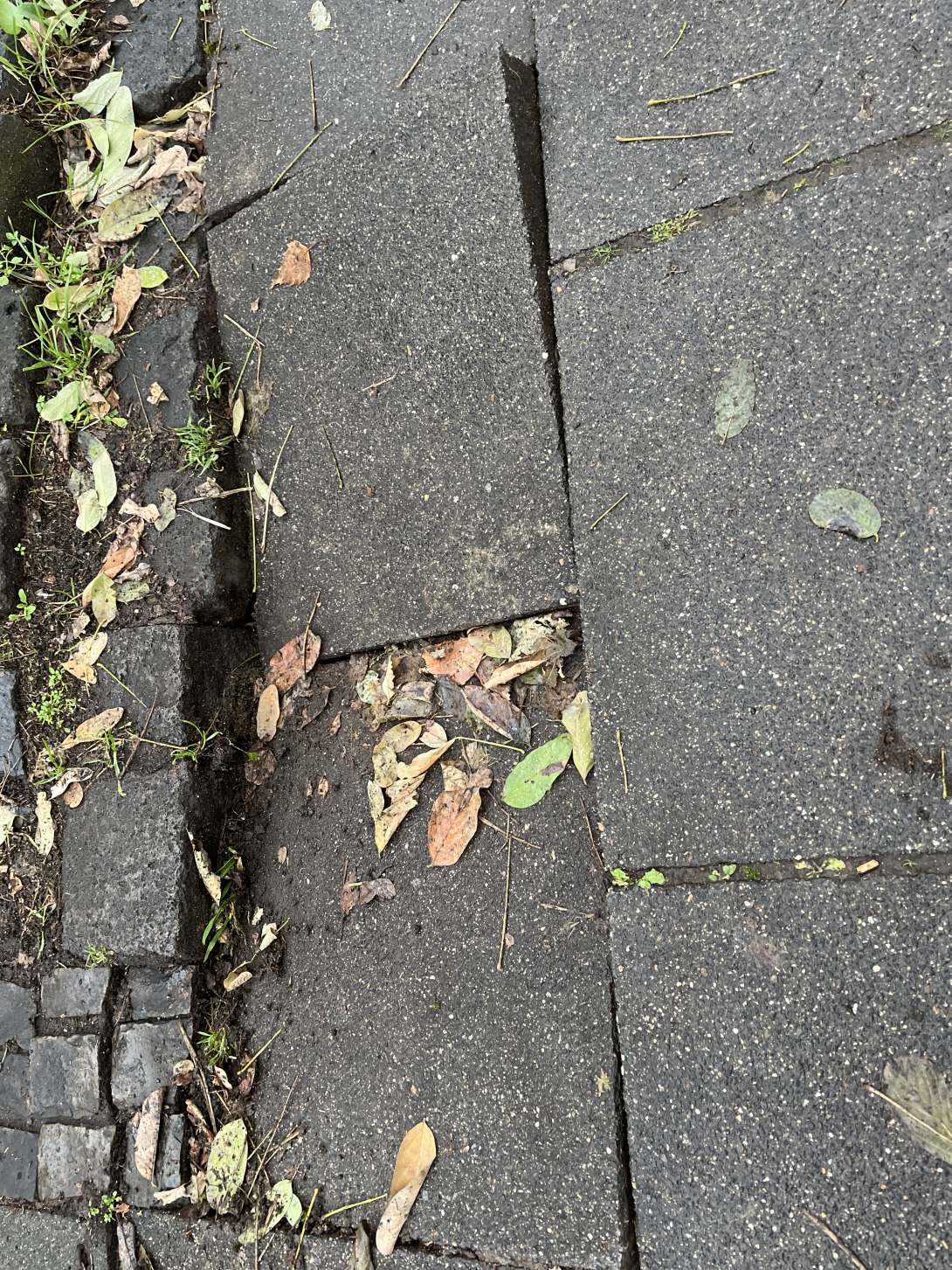 Bild zu gemeldetem Anliegen vom *2025-12-08 12:27:19