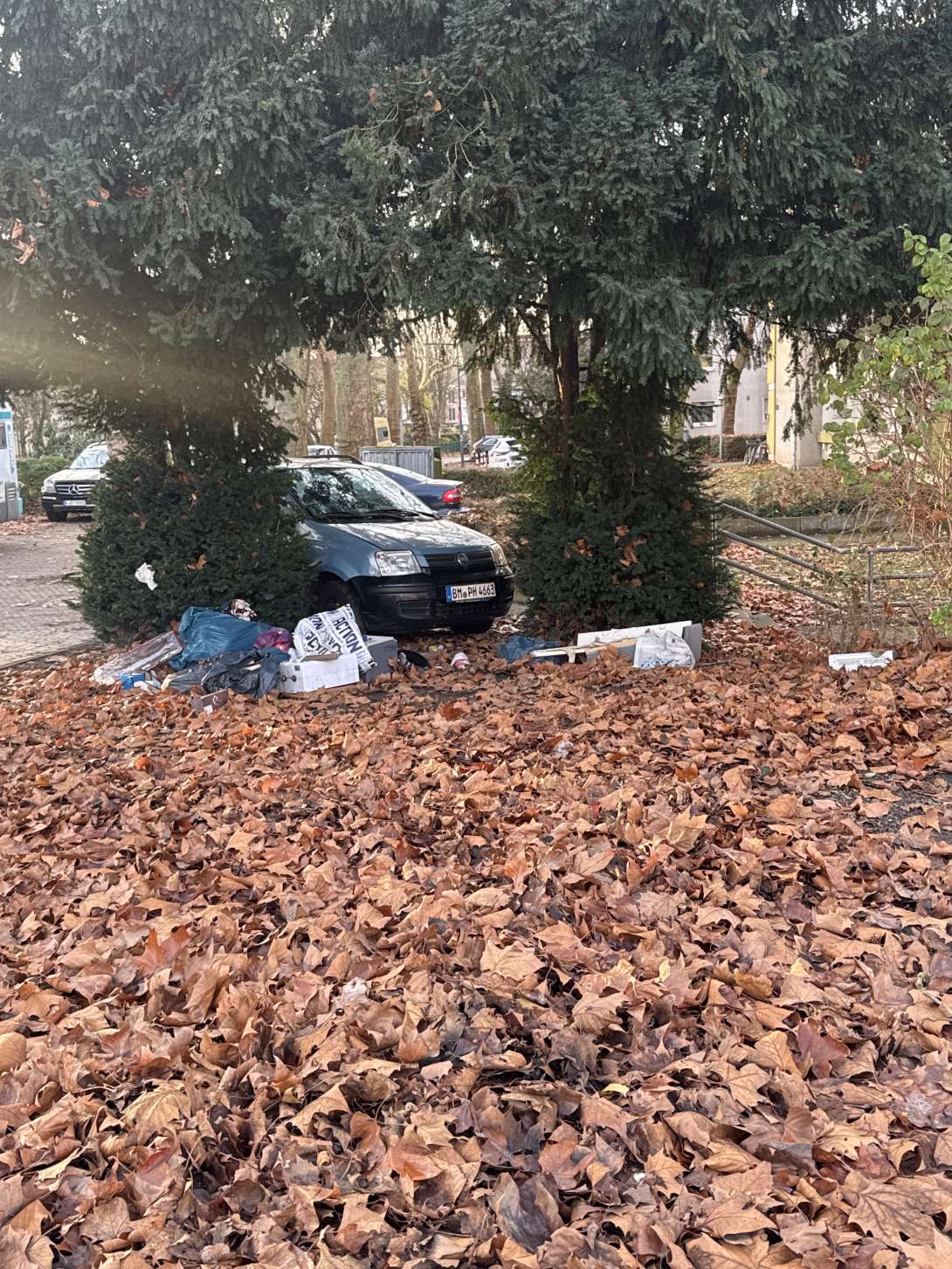 Bild zu gemeldetem Anliegen vom *2025-12-09 15:08:13